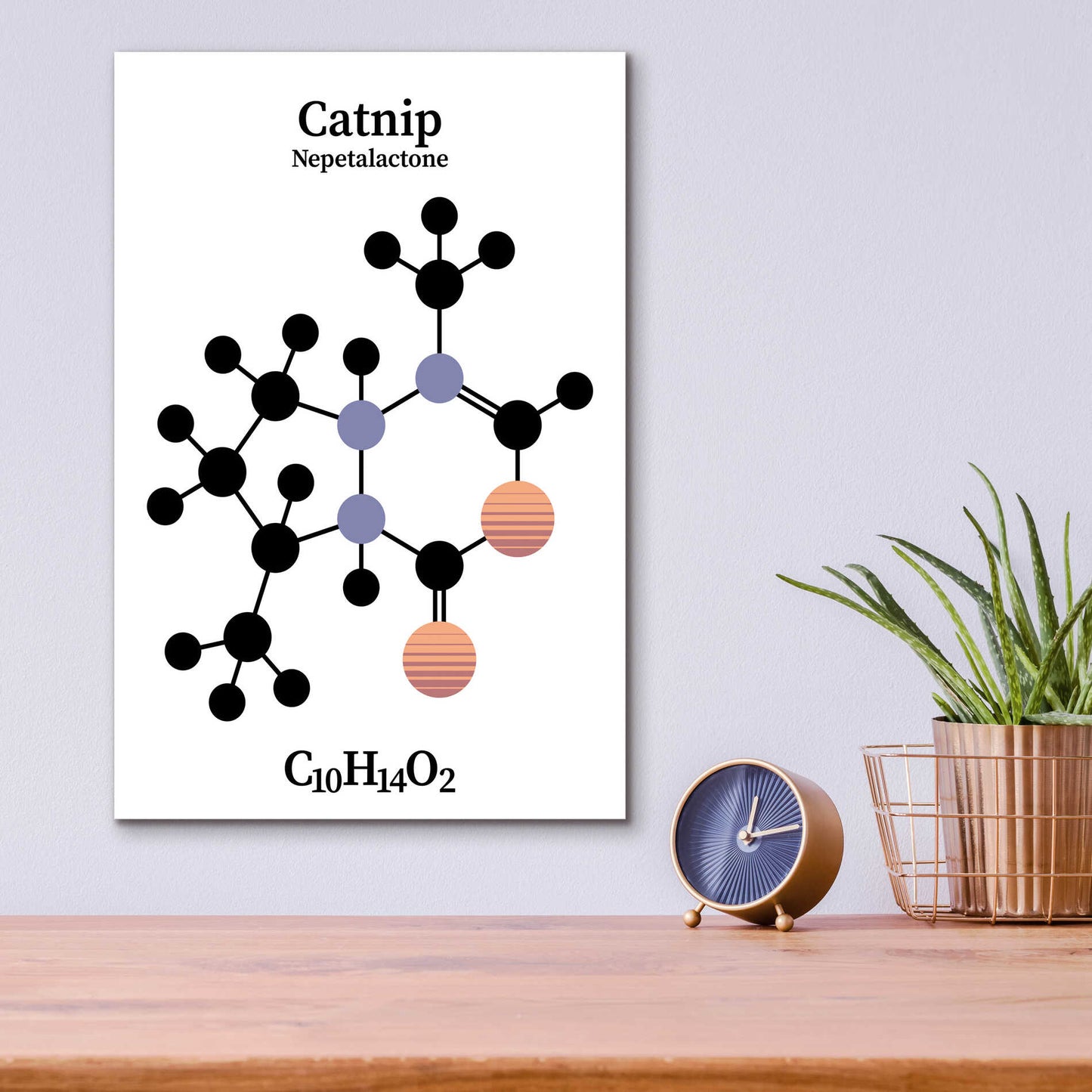 Epic Art 'Catnip Molecule' by Epic Portfolio, Acrylic Glass Wall Art,12x16