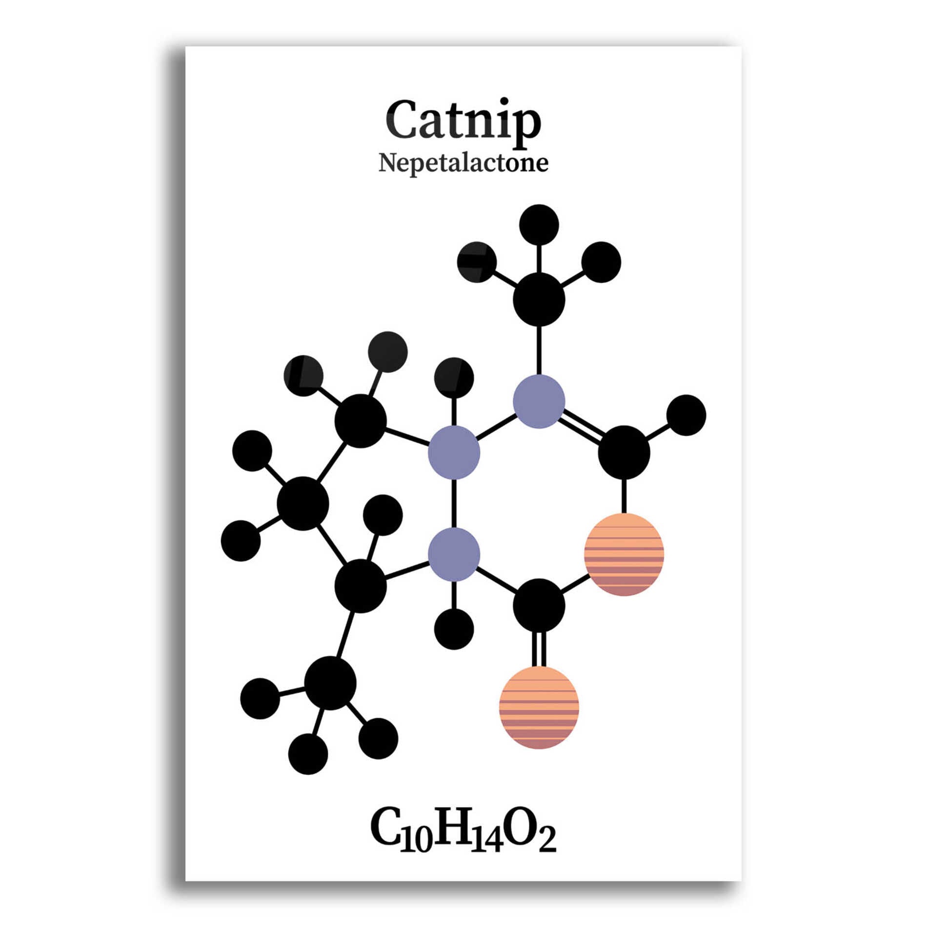 Epic Art 'Catnip Molecule' by Epic Portfolio, Acrylic Glass Wall Art,12x16