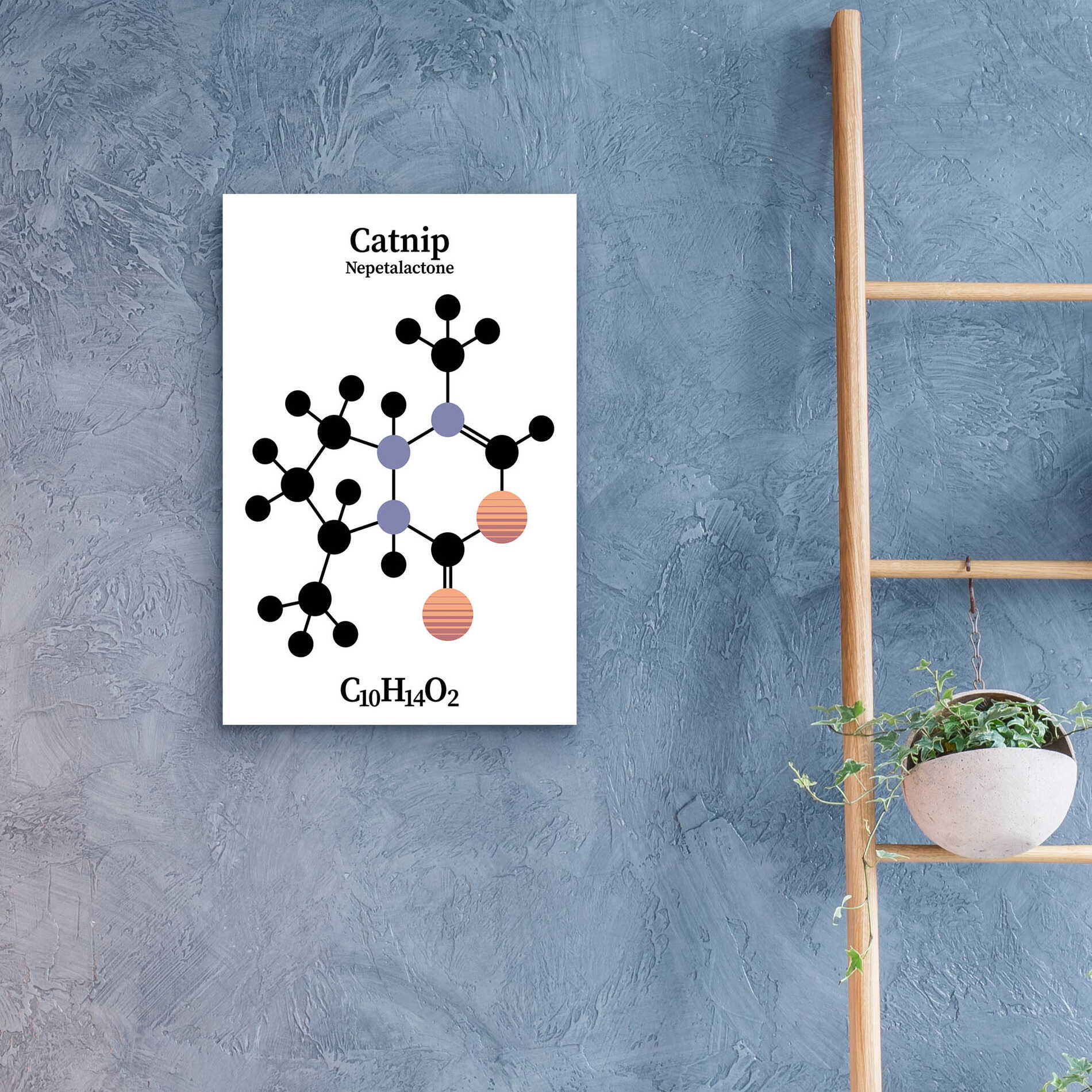 Epic Art 'Catnip Molecule' by Epic Portfolio, Acrylic Glass Wall Art,16x24