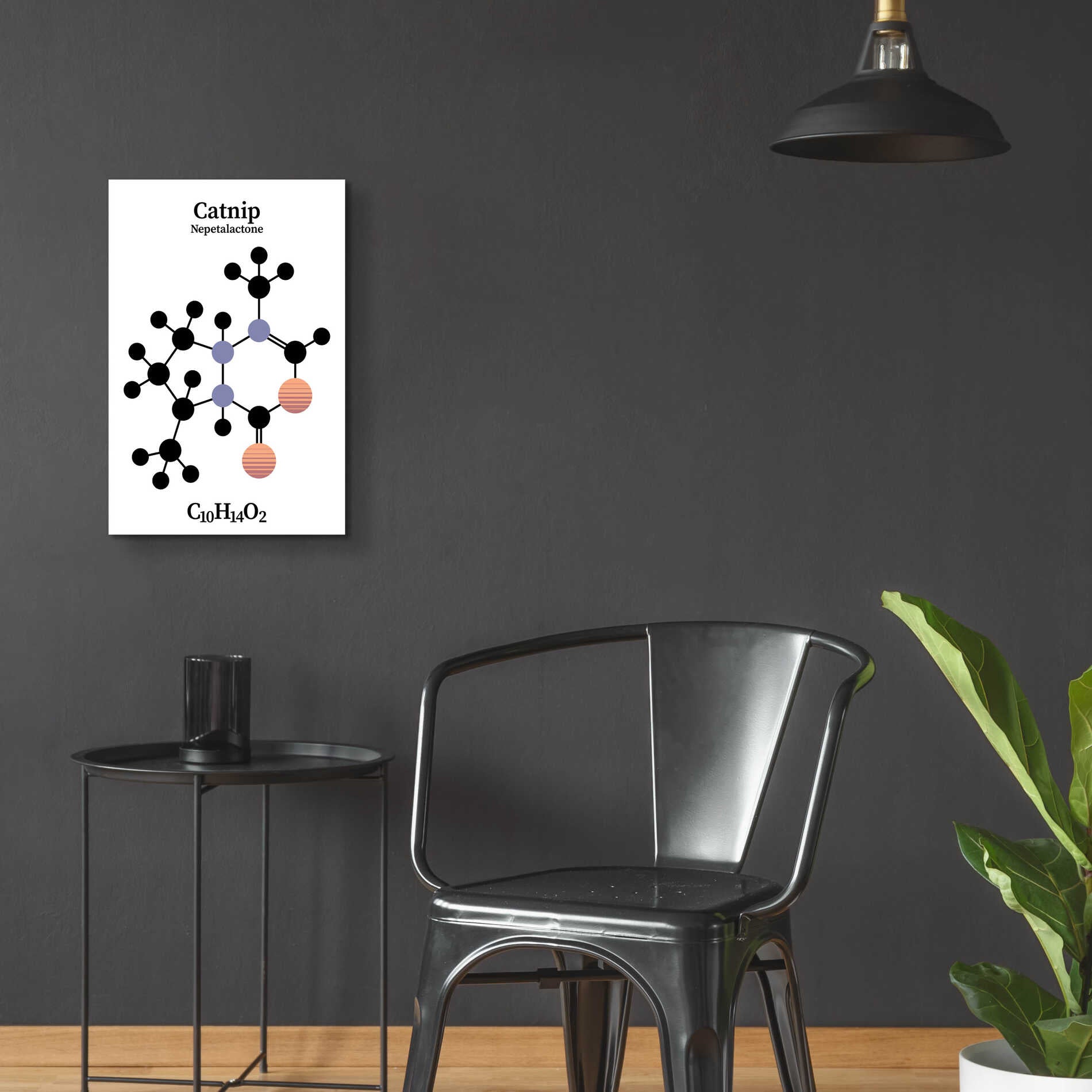 Epic Art 'Catnip Molecule' by Epic Portfolio, Acrylic Glass Wall Art,16x24