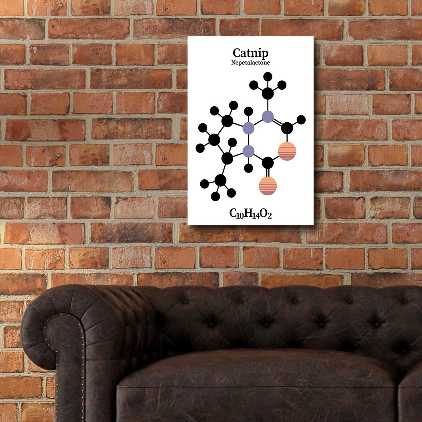 Epic Art 'Catnip Molecule' by Epic Portfolio, Acrylic Glass Wall Art,16x24