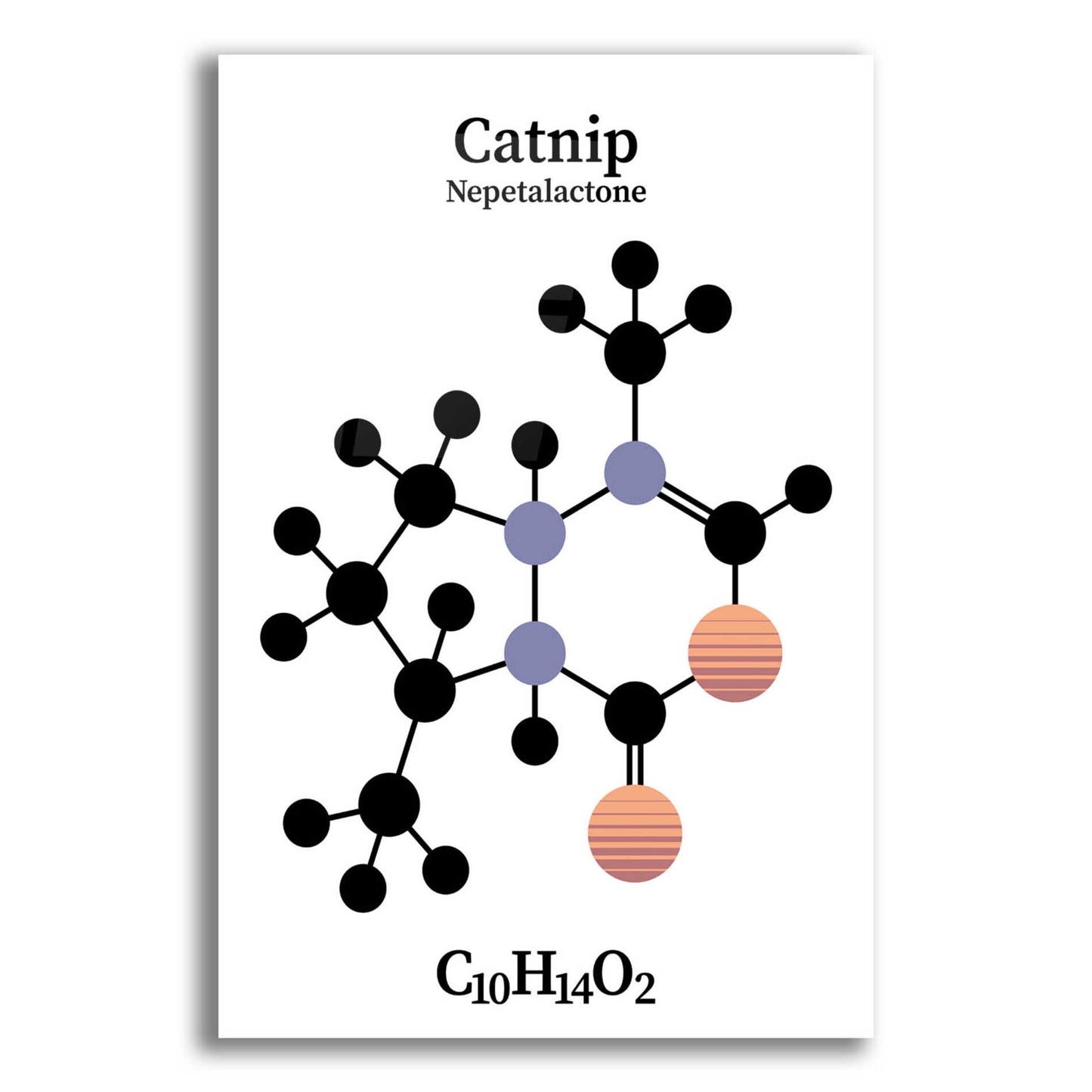 Epic Art 'Catnip Molecule' by Epic Portfolio, Acrylic Glass Wall Art,16x24