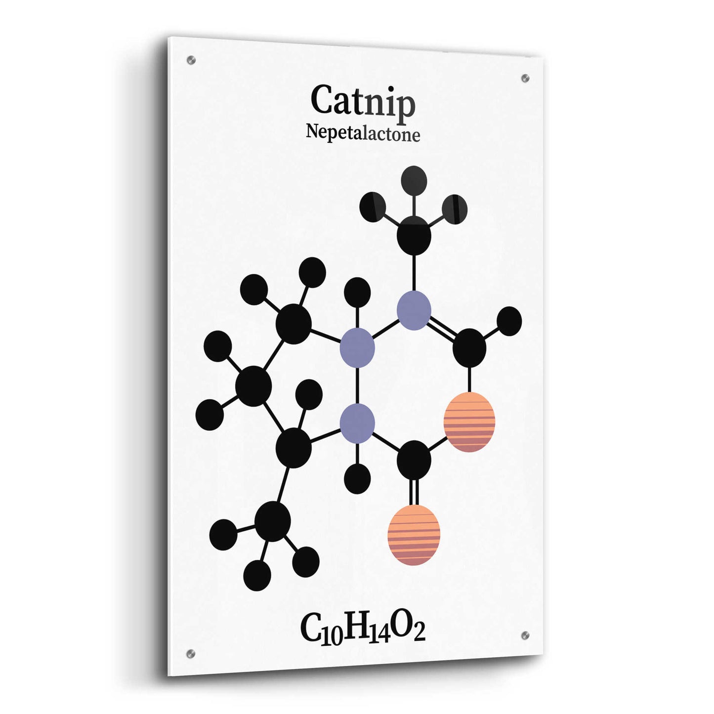 Epic Art 'Catnip Molecule' by Epic Portfolio, Acrylic Glass Wall Art,24x36