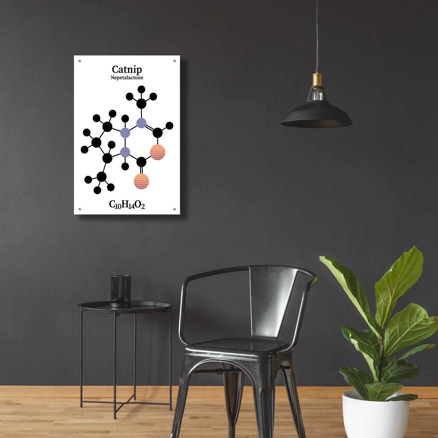 Epic Art 'Catnip Molecule' by Epic Portfolio, Acrylic Glass Wall Art,24x36