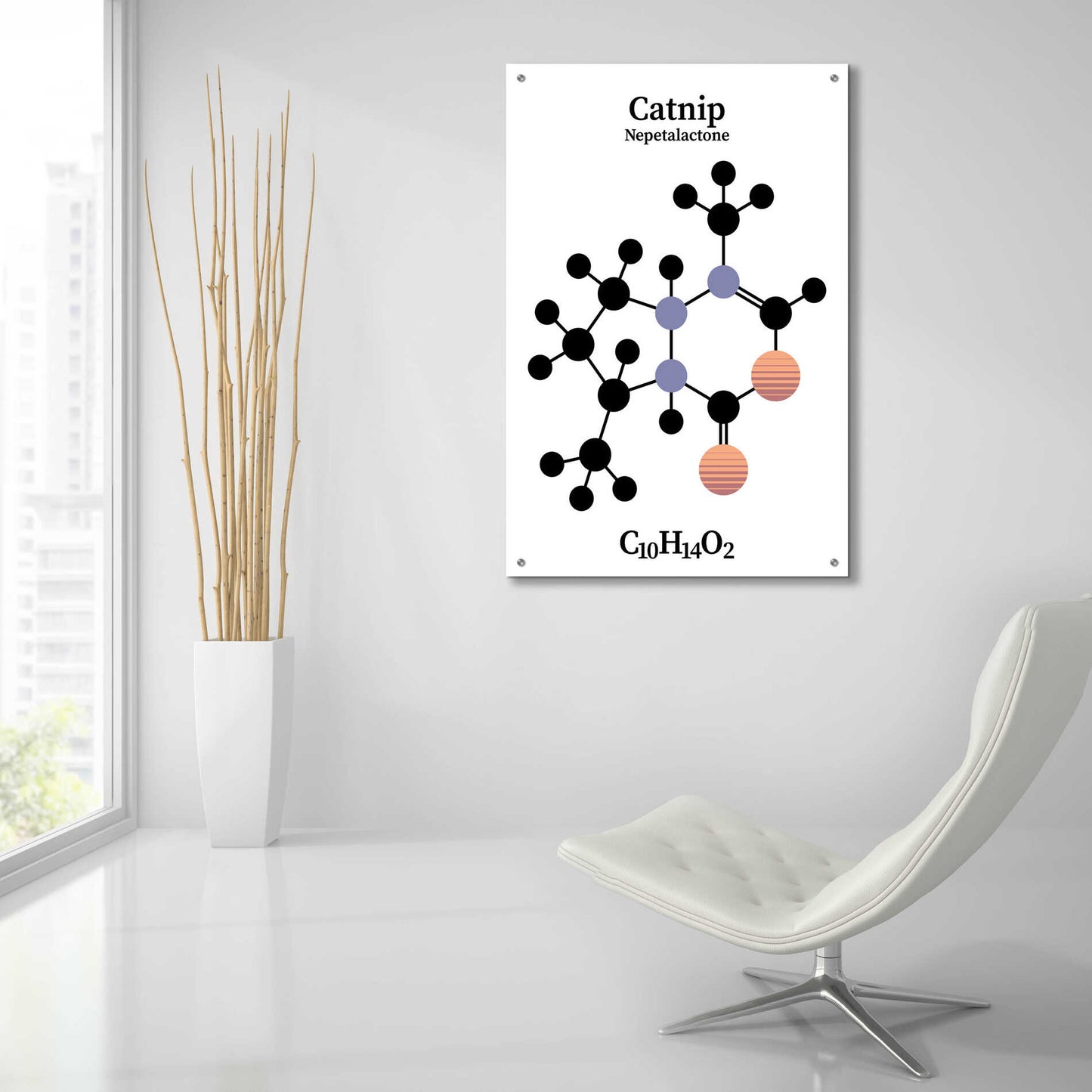 Epic Art 'Catnip Molecule' by Epic Portfolio, Acrylic Glass Wall Art,24x36