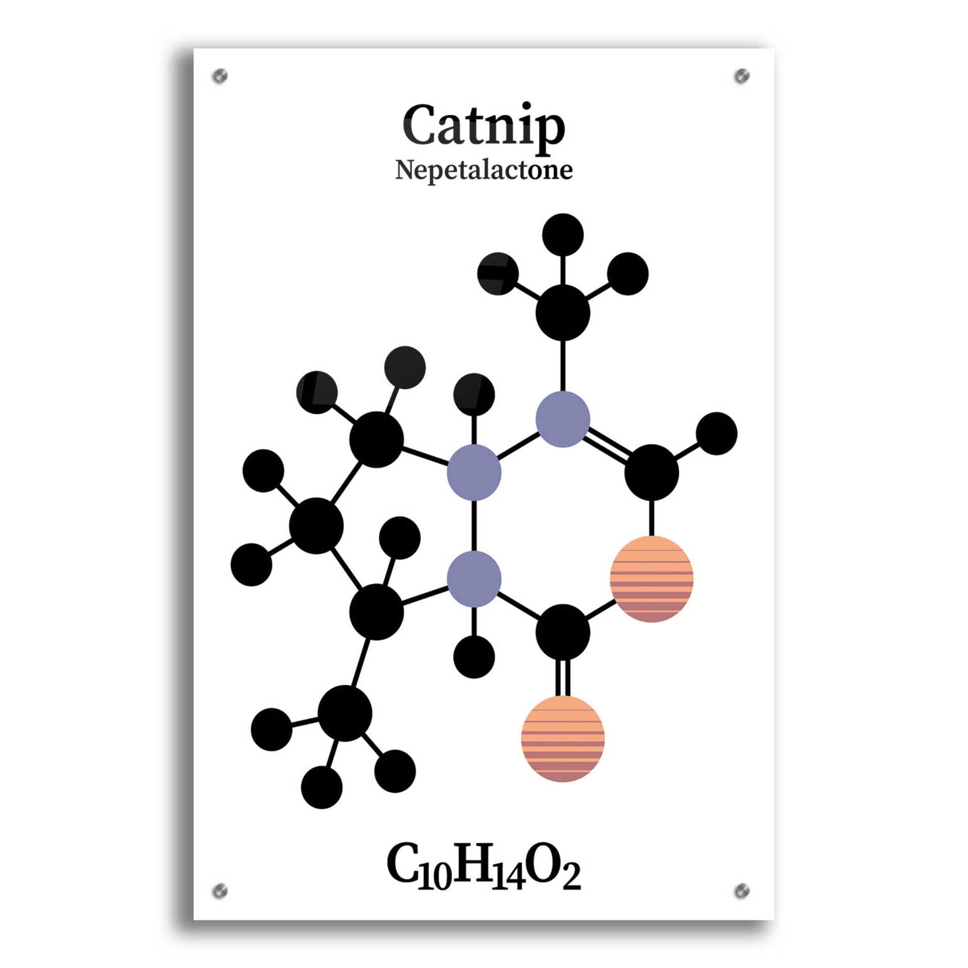 Epic Art 'Catnip Molecule' by Epic Portfolio, Acrylic Glass Wall Art,24x36