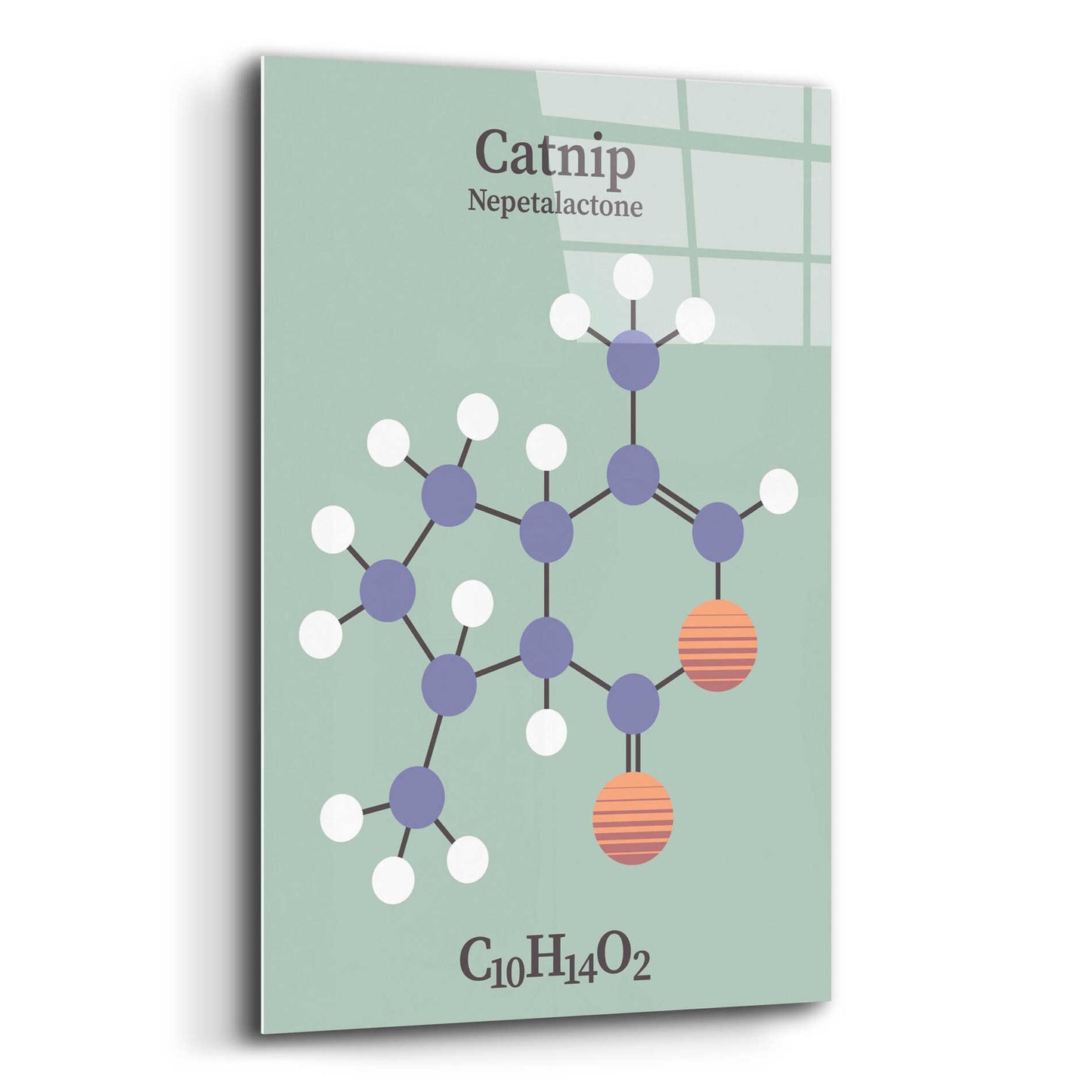 Epic Art 'Catnip Molecule 2' by Epic Portfolio, Acrylic Glass Wall Art,12x16