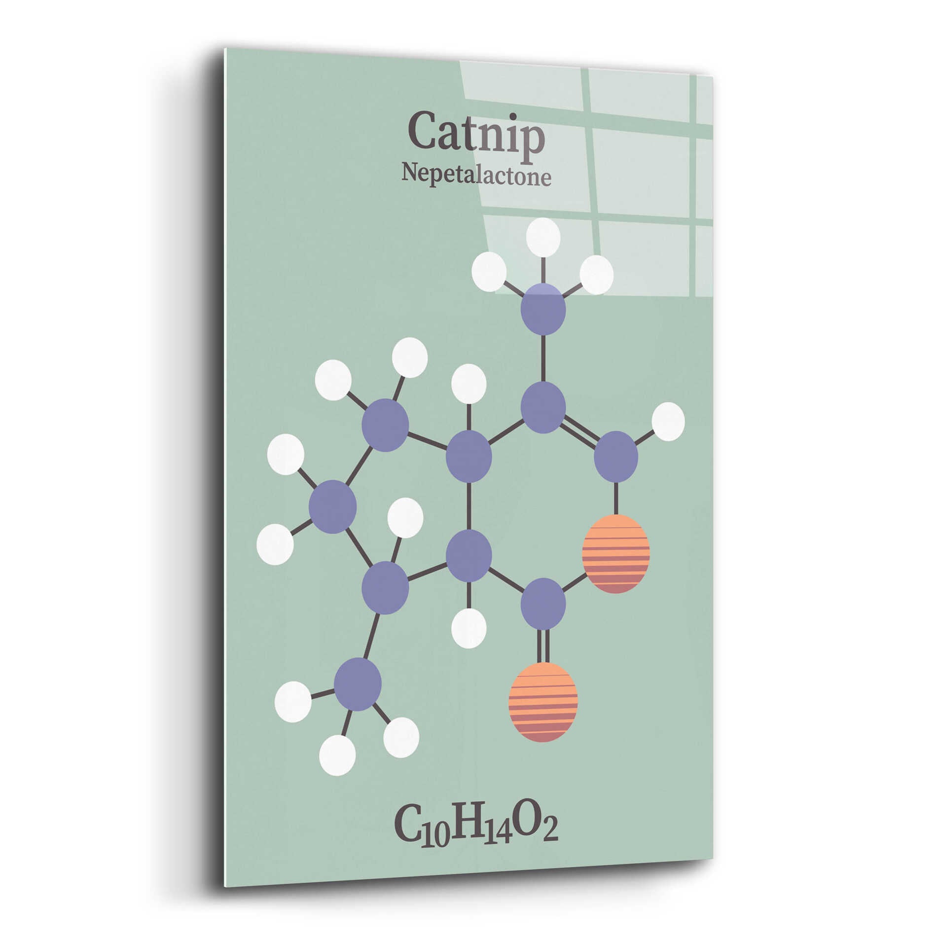 Epic Art 'Catnip Molecule 2' by Epic Portfolio, Acrylic Glass Wall Art,12x16