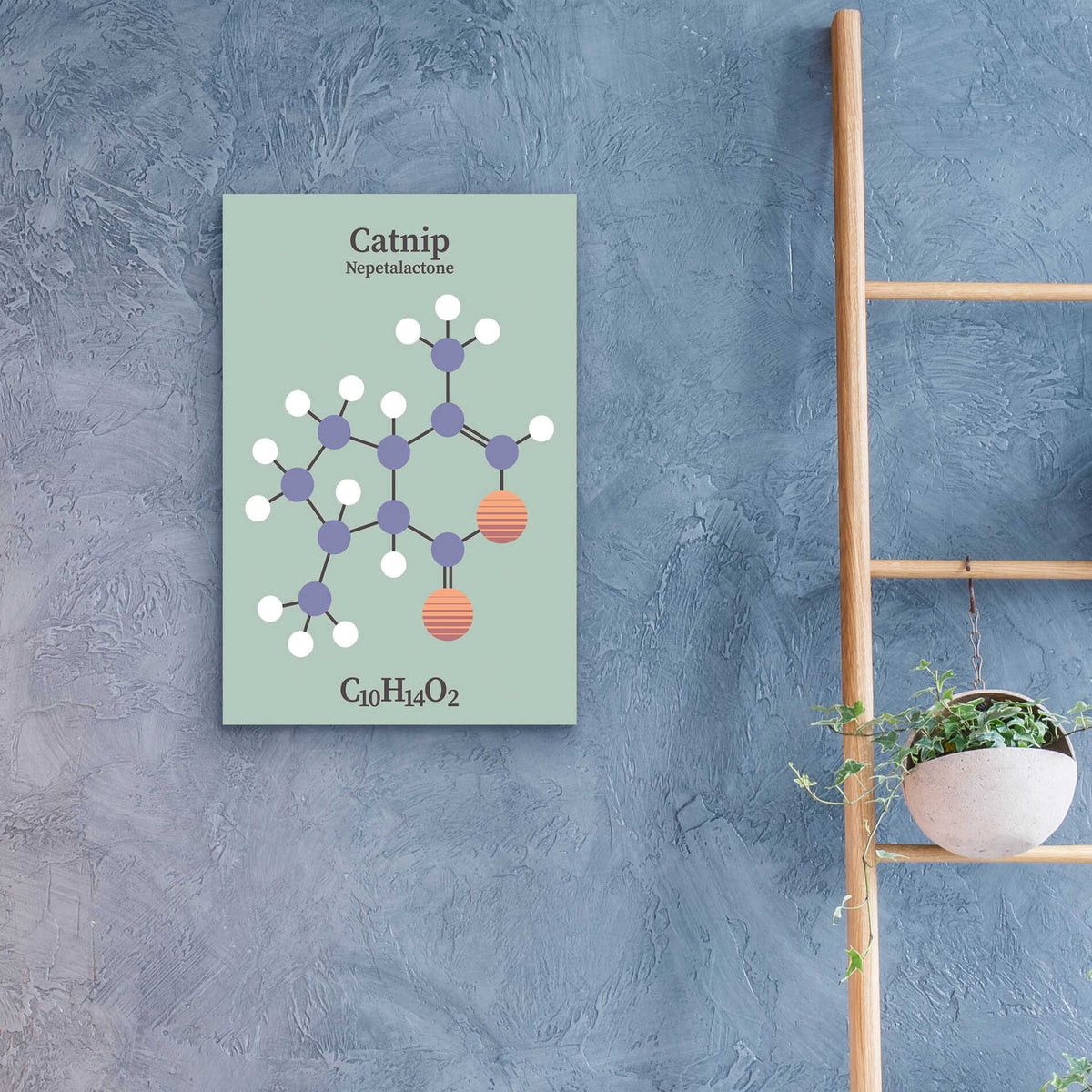 Epic Art 'Catnip Molecule 2' by Epic Portfolio, Acrylic Glass Wall Art,16x24