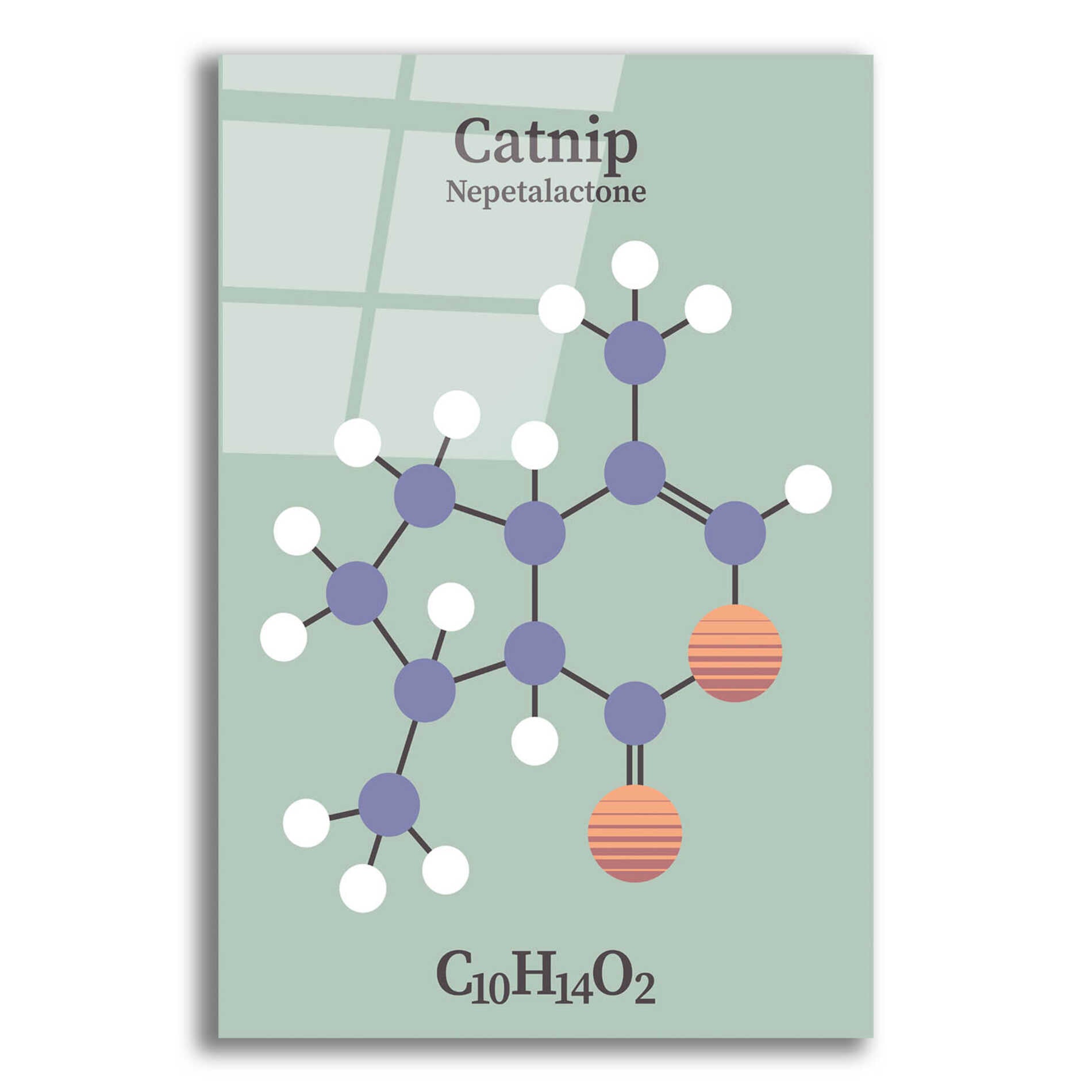 Epic Art 'Catnip Molecule 2' by Epic Portfolio, Acrylic Glass Wall Art,16x24