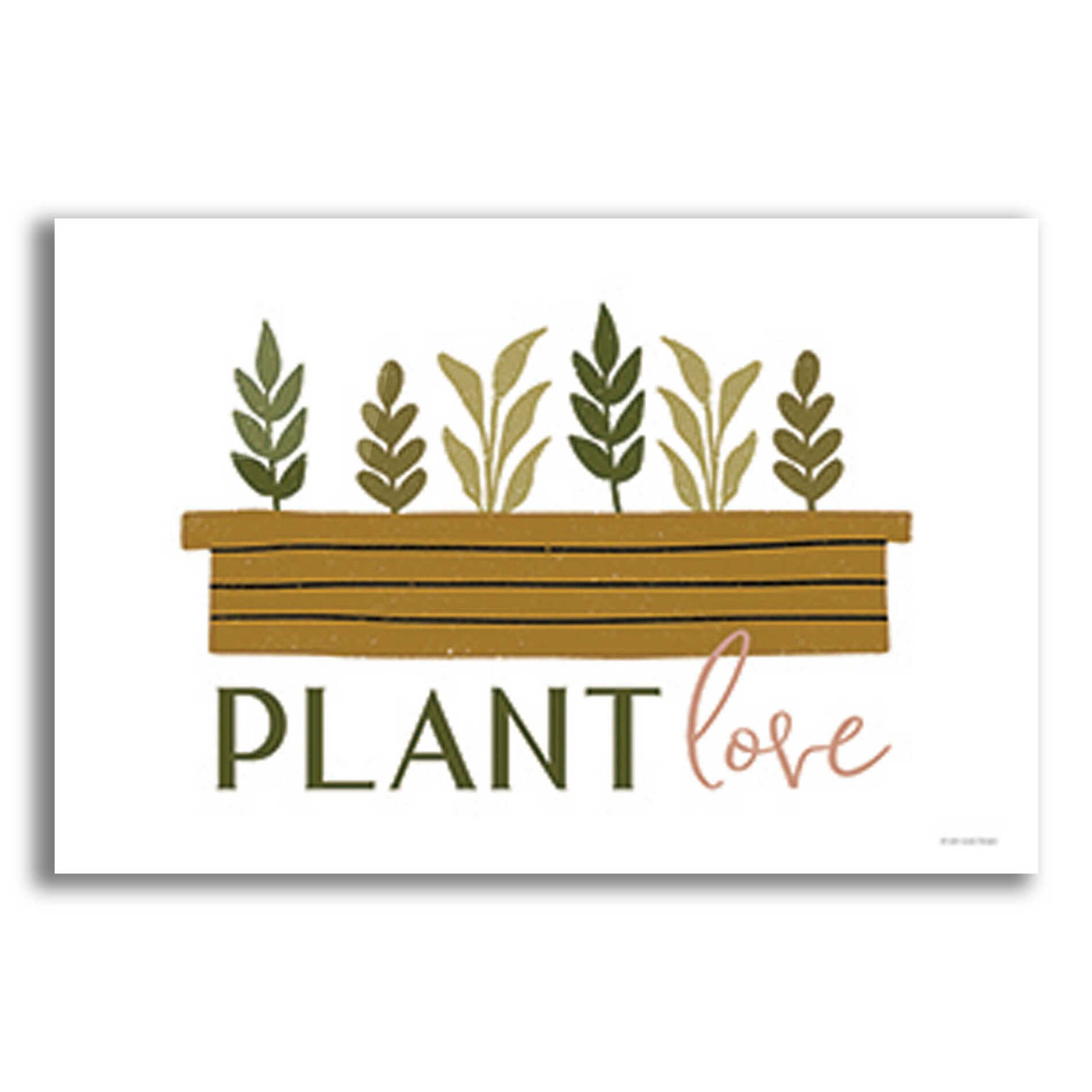 Epic Art 'Plant Love' by Lady Louise Designs, Acrylic Glass Wall Art,16x12