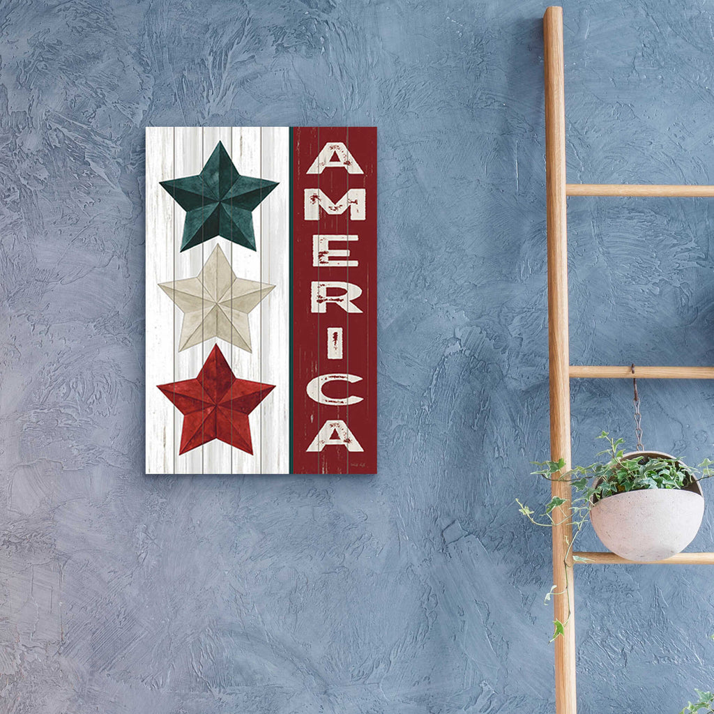 Epic Art 'America' by Cindy Jacobs, Acrylic Glass Wall Art,16x24
