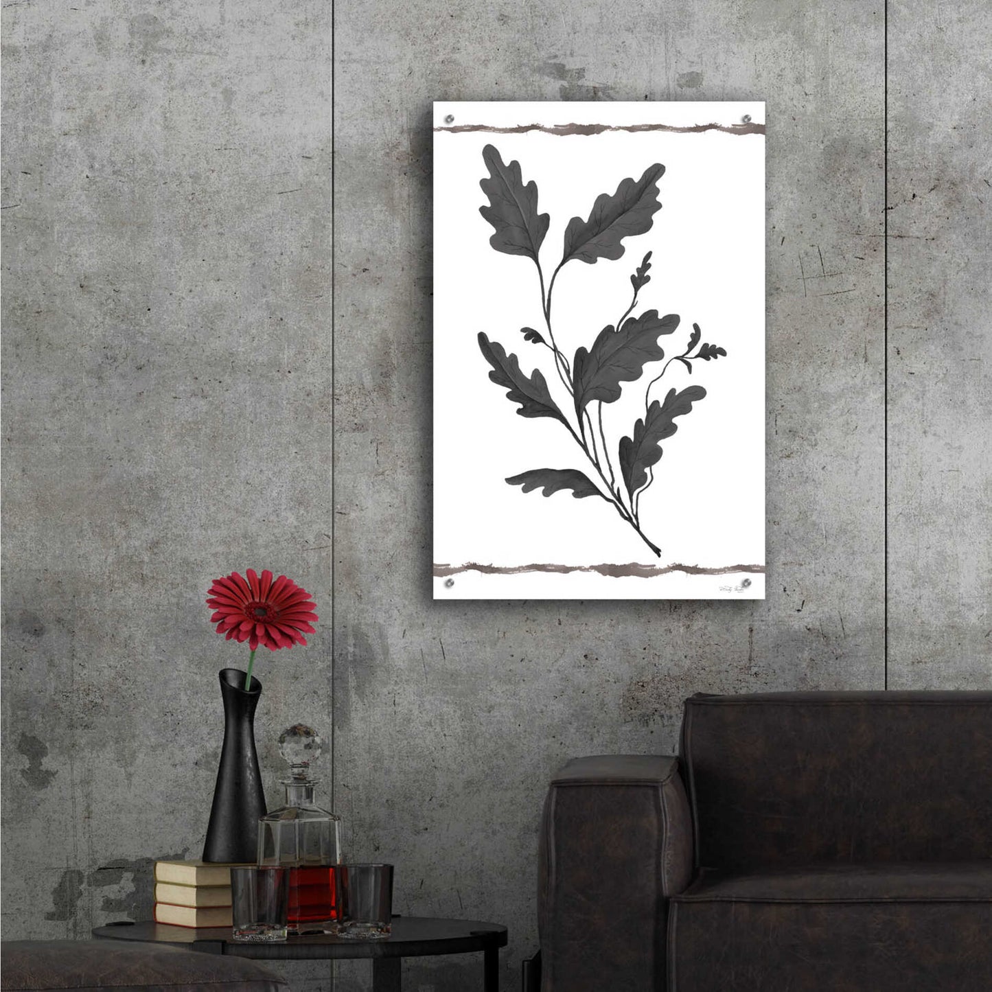 Epic Art 'Leaf Collection IV' by Cindy Jacobs, Acrylic Glass Wall Art,24x36