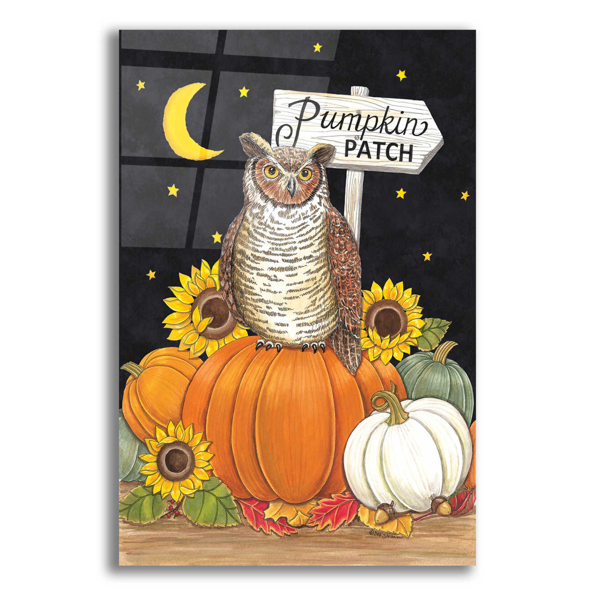 Epic Art 'Pumpkin Patch Owl' by Deb Strain, Acrylic Glass Wall Art,12x16