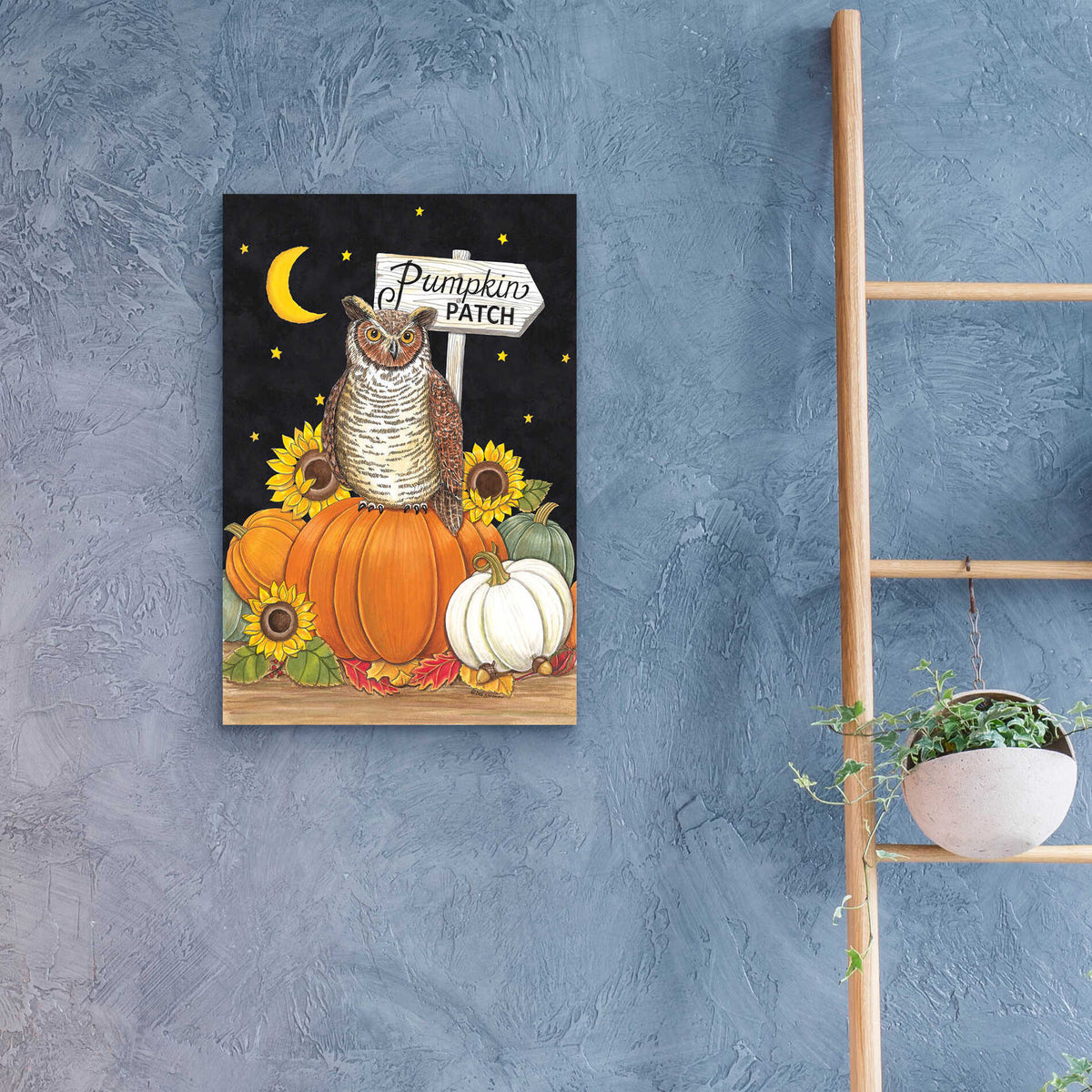 Epic Art 'Pumpkin Patch Owl' by Deb Strain, Acrylic Glass Wall Art,16x24