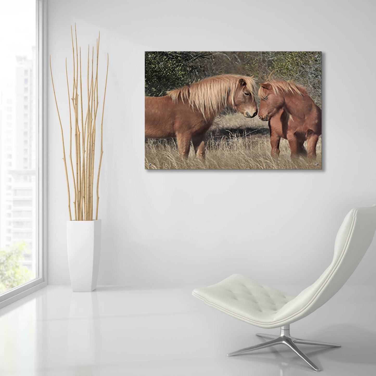 Epic Art 'Assateague Horses III' by Lori Deiter, Acrylic Glass Wall Art,36x24