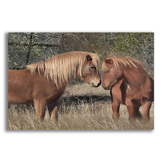 Epic Art 'Assateague Horses III' by Lori Deiter, Acrylic Glass Wall Art