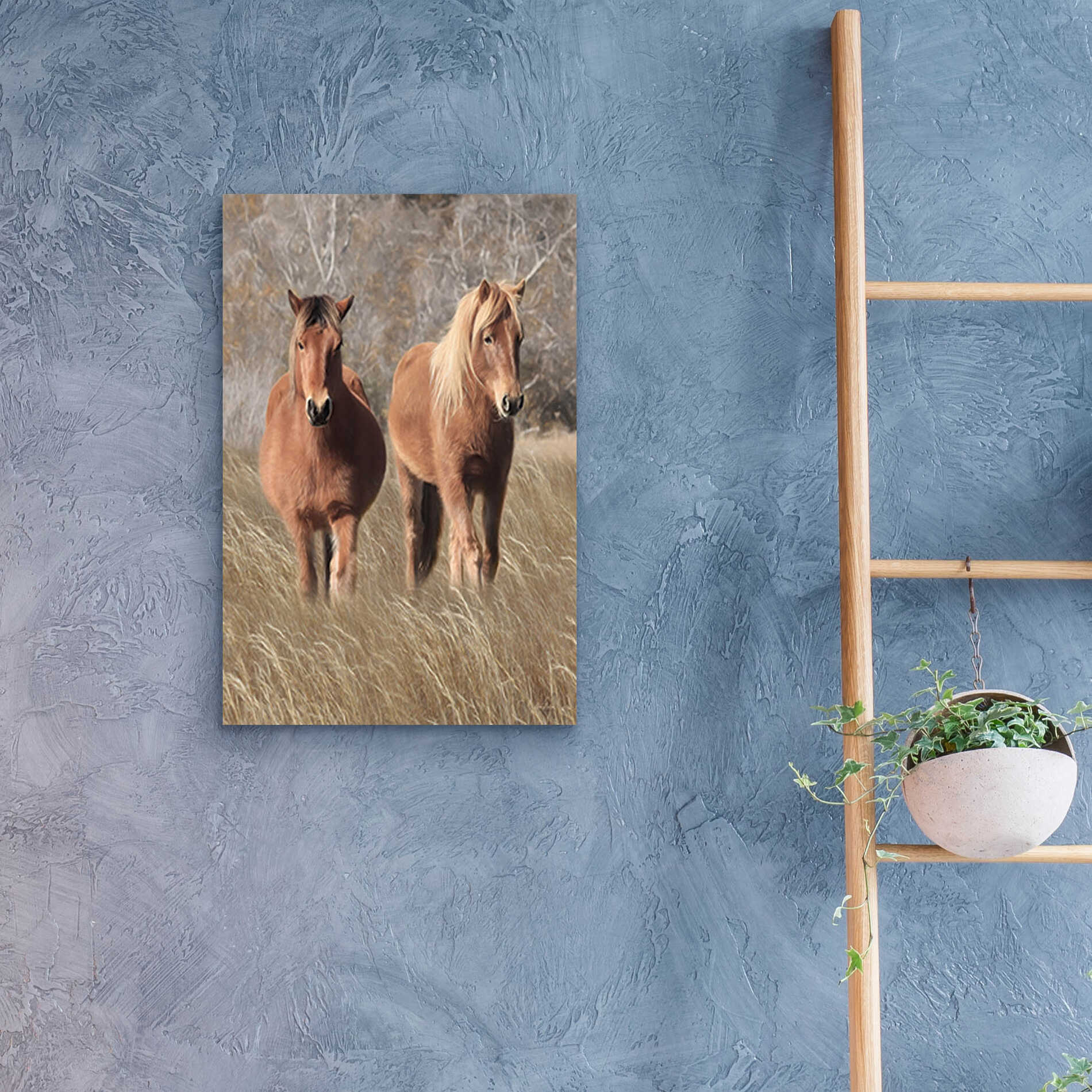 Epic Art 'Assateague Horses IV' by Lori Deiter, Acrylic Glass Wall Art,16x24