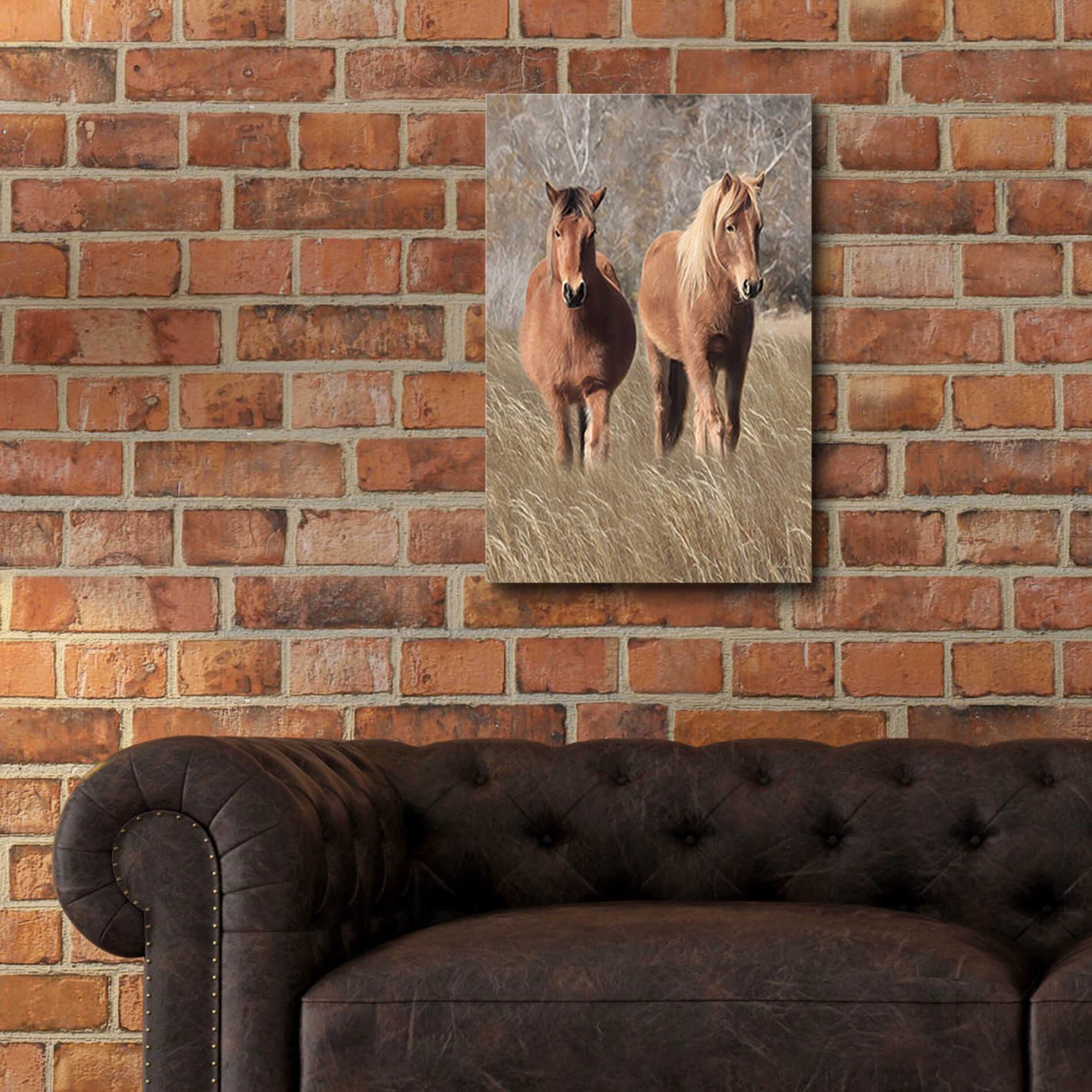 Epic Art 'Assateague Horses IV' by Lori Deiter, Acrylic Glass Wall Art,16x24