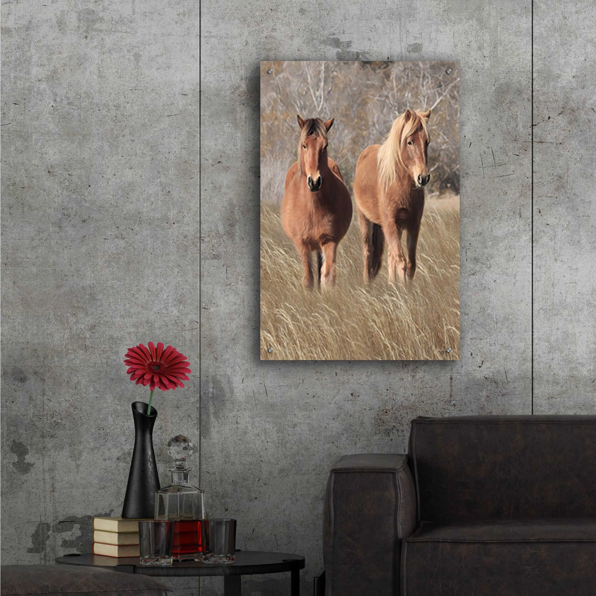 Epic Art 'Assateague Horses IV' by Lori Deiter, Acrylic Glass Wall Art,24x36