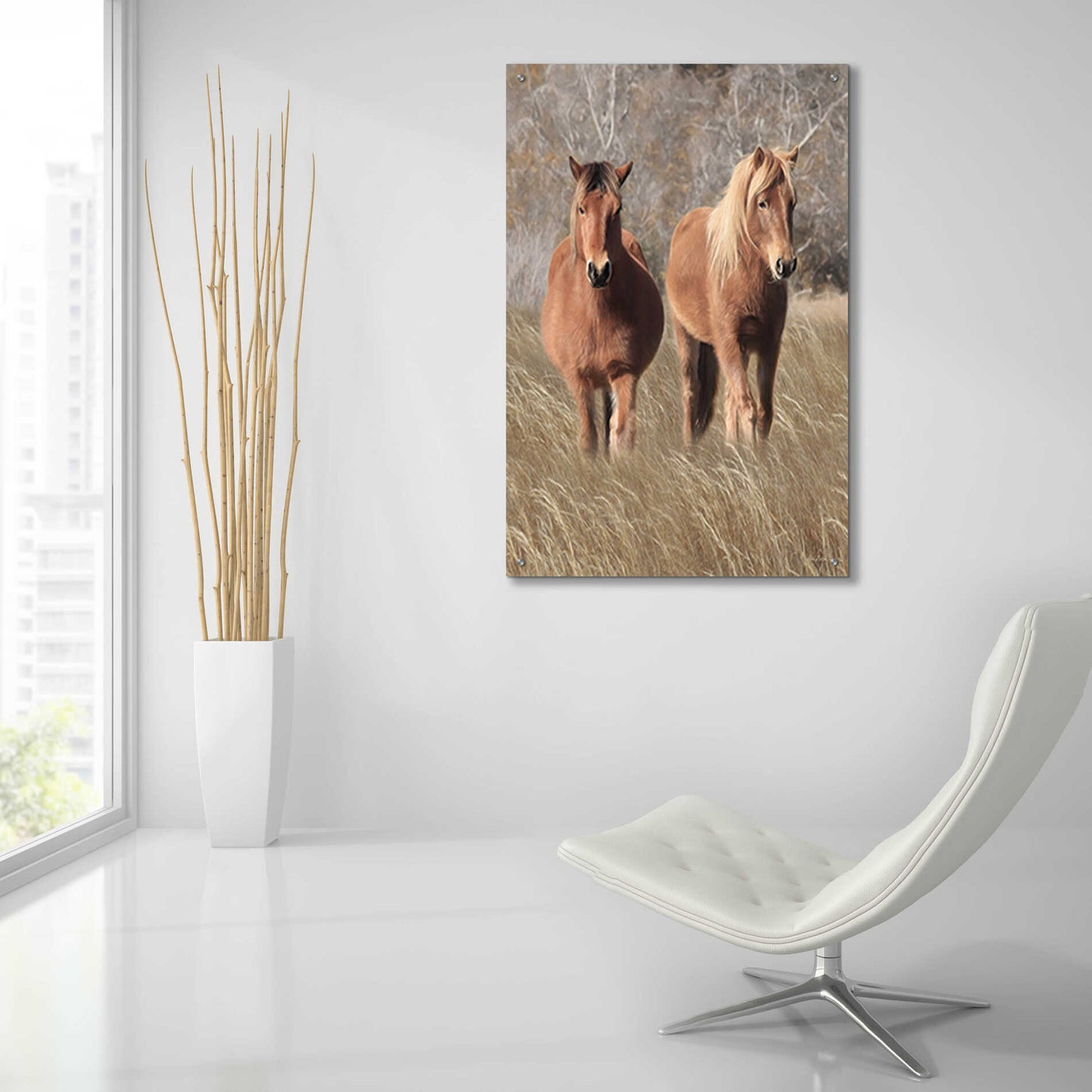 Epic Art 'Assateague Horses IV' by Lori Deiter, Acrylic Glass Wall Art,24x36