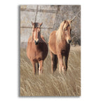 Epic Art 'Assateague Horses IV' by Lori Deiter, Acrylic Glass Wall Art