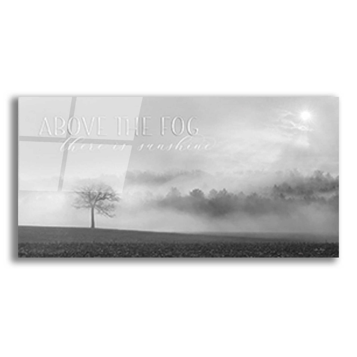 Epic Art 'Above the Fog' by Lori Deiter, Acrylic Glass Wall Art,24x12