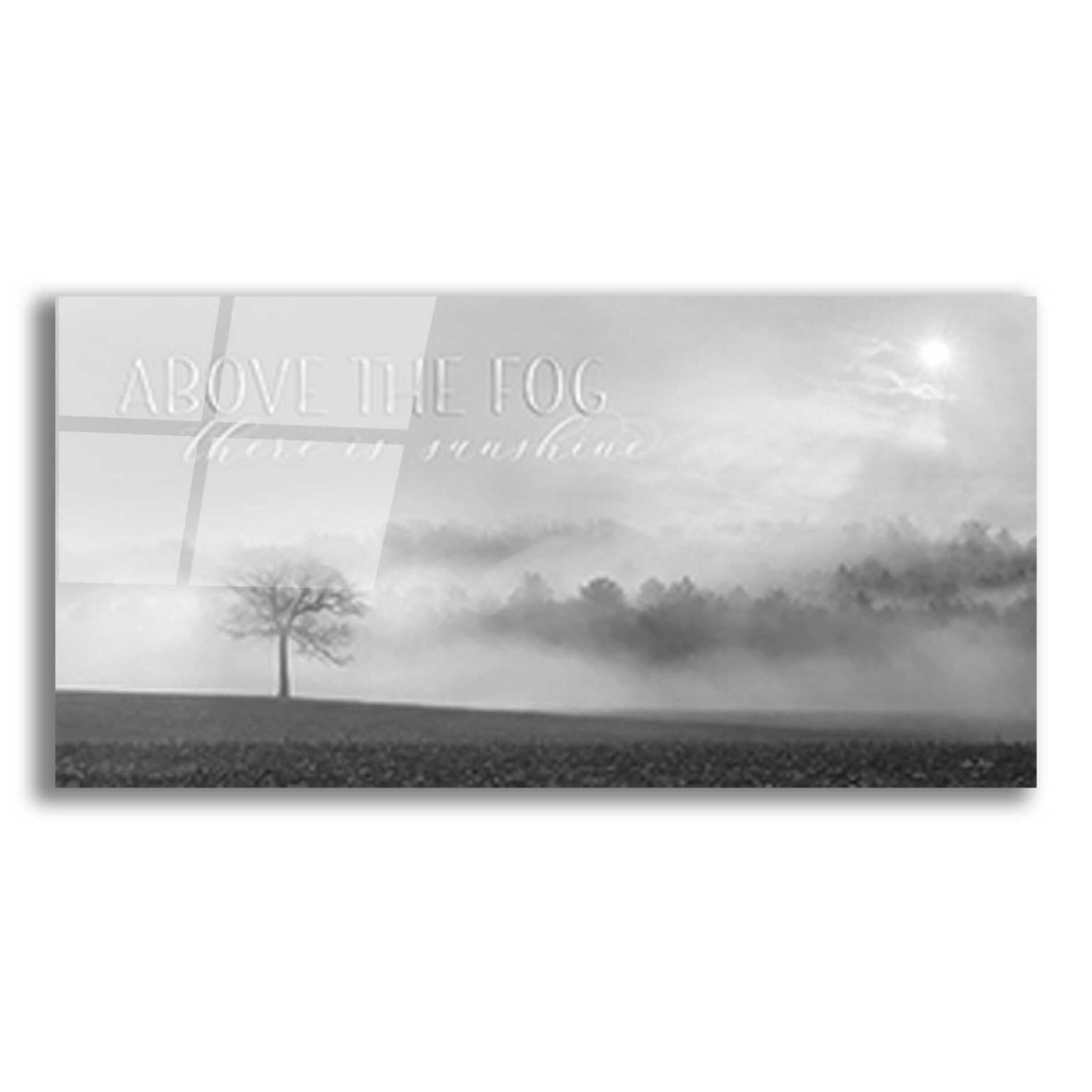 Epic Art 'Above the Fog' by Lori Deiter, Acrylic Glass Wall Art,24x12