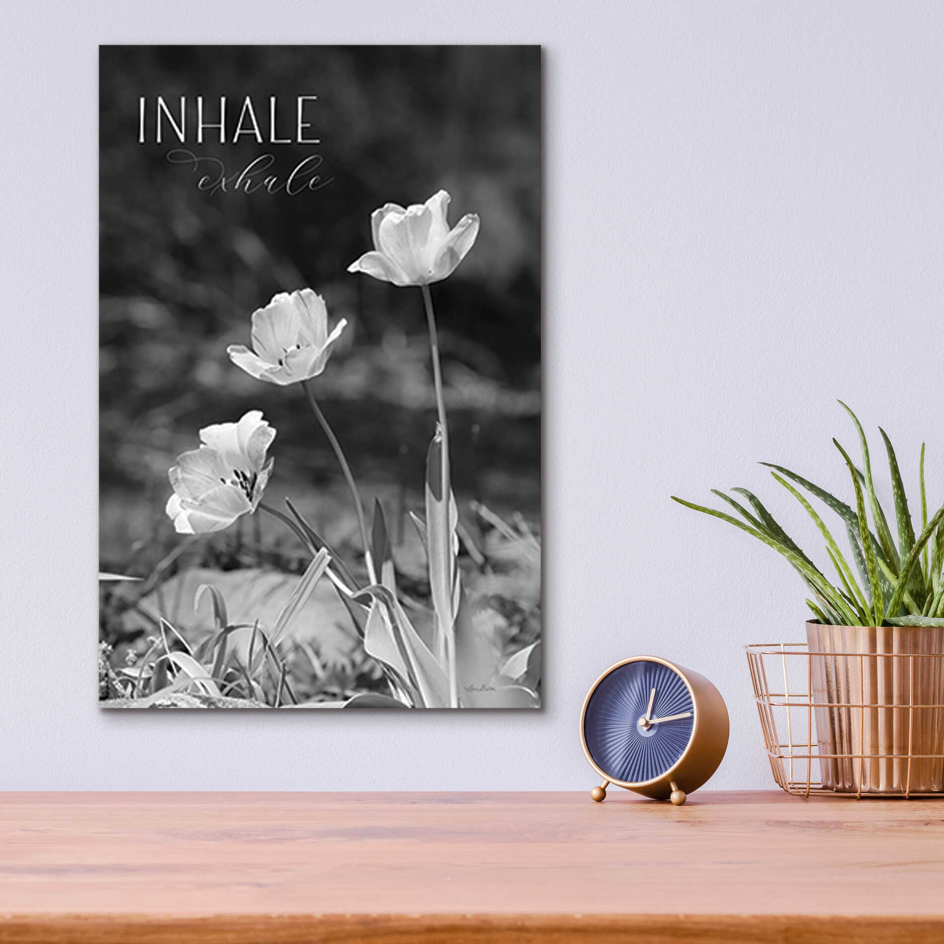 Epic Art 'Inhale, Exhale' by Lori Deiter, Acrylic Glass Wall Art,12x16