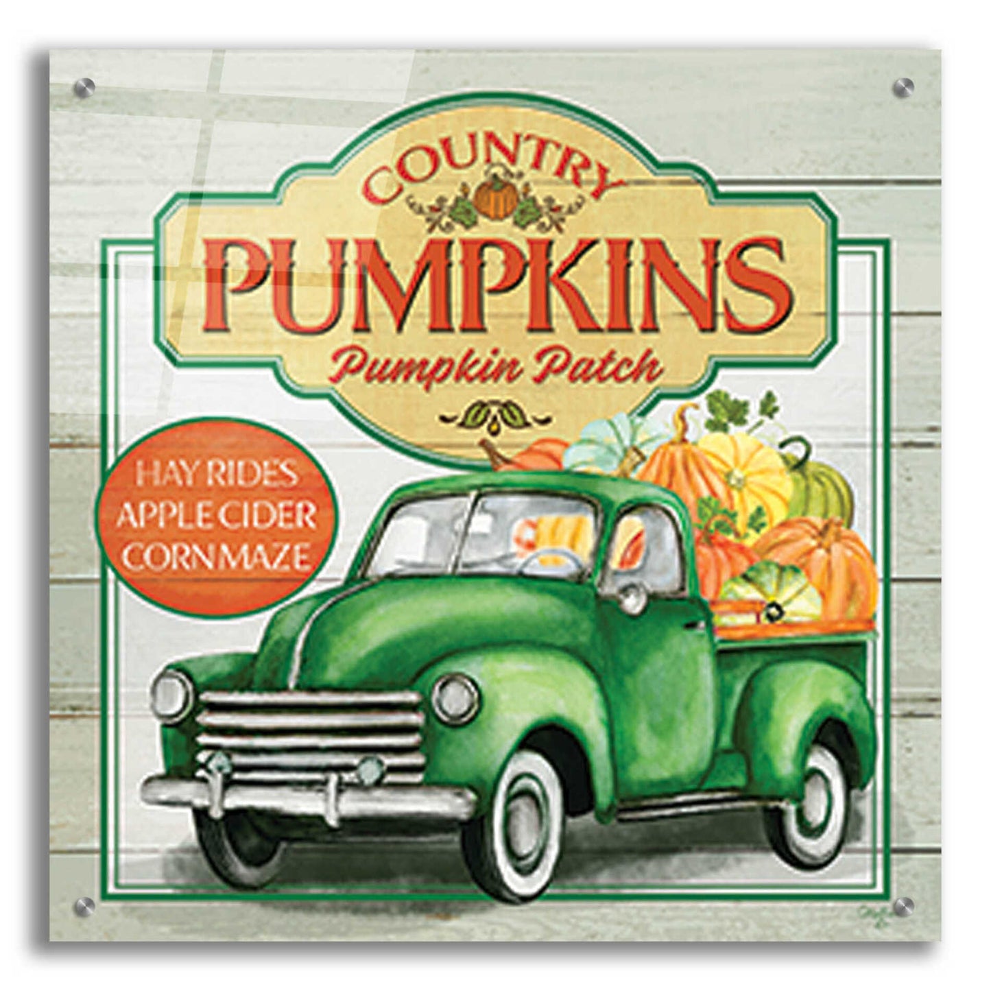 Epic Art 'Pumpkin Patch' by Mollie B., Acrylic Glass Wall Art,24x24