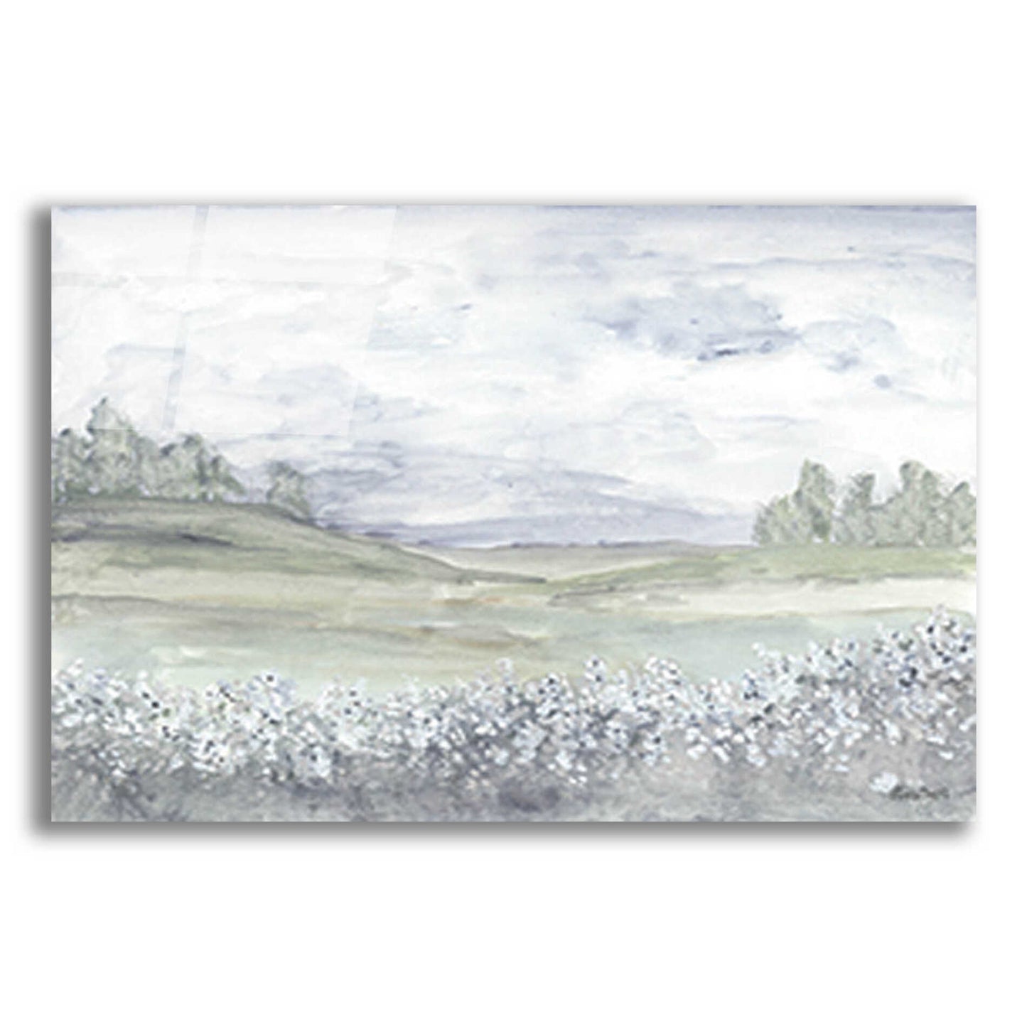 Epic Art 'Meadow' by Roey Ebert, Acrylic Glass Wall Art,24x16