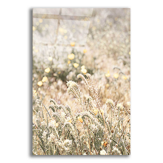 Epic Art 'Sweet Vintage Field' by Yass Naffas Designs, Acrylic Glass Wall Art