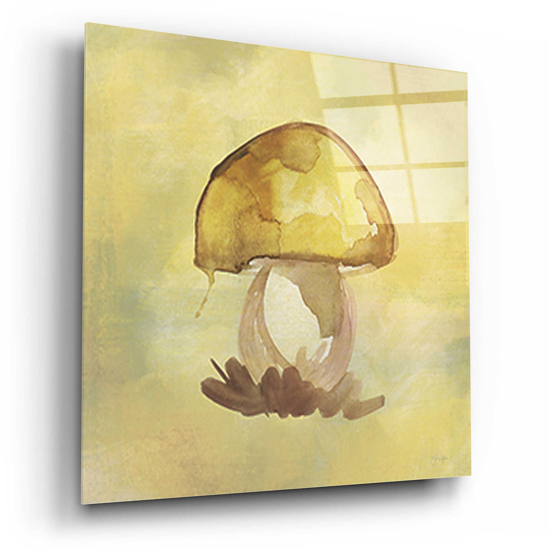 Epic Art 'Treasured Mushroom' by Yass Naffas Designs, Acrylic Glass Wall Art,12x12