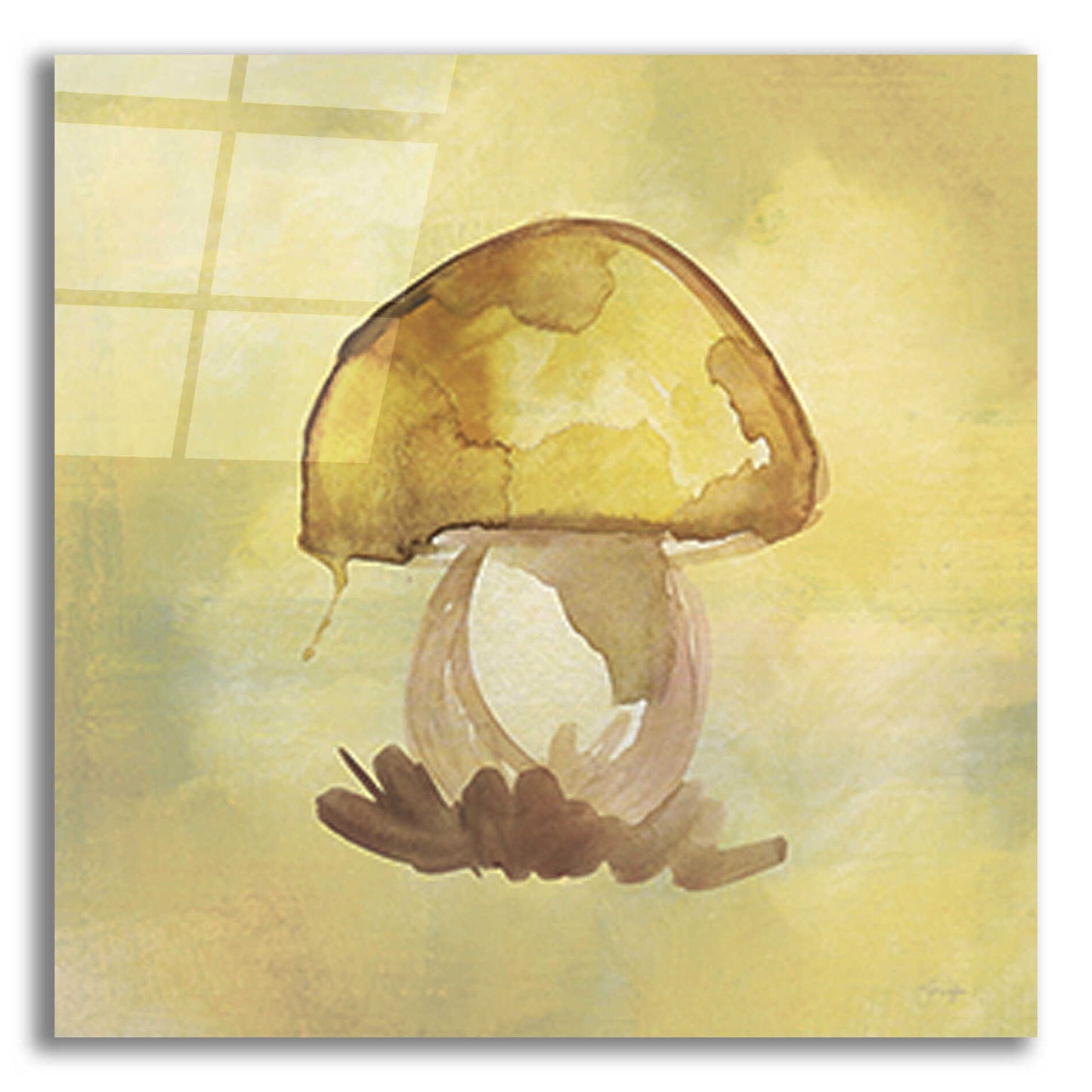 Epic Art 'Treasured Mushroom' by Yass Naffas Designs, Acrylic Glass Wall Art,12x12