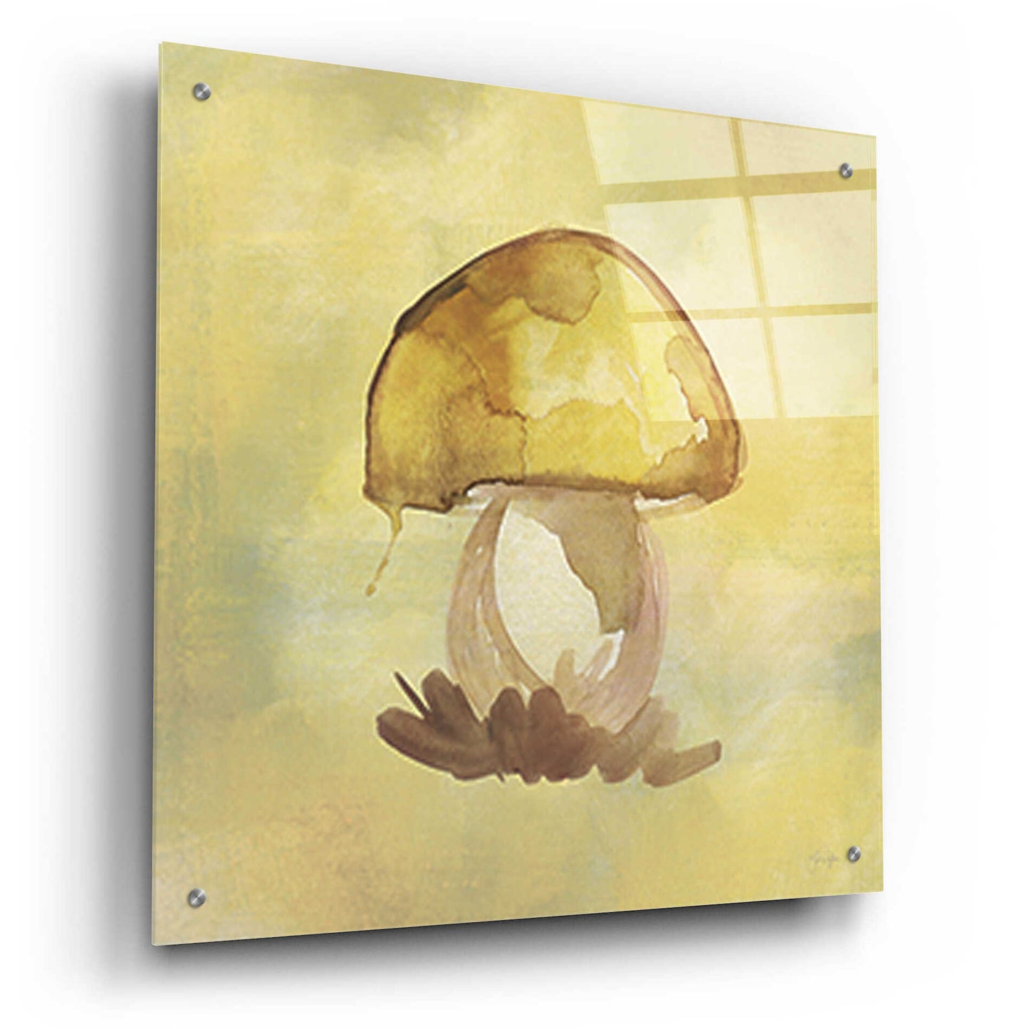 Epic Art 'Treasured Mushroom' by Yass Naffas Designs, Acrylic Glass Wall Art,24x24