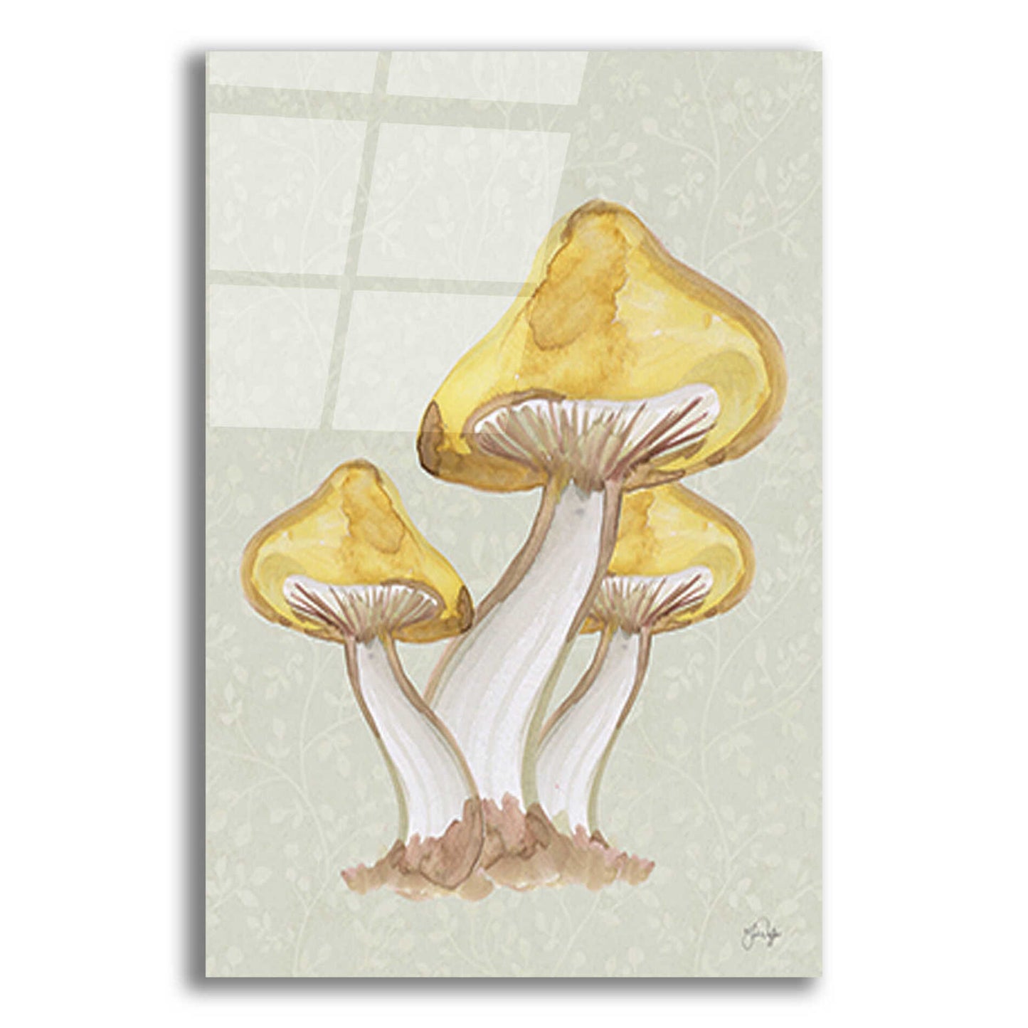 Epic Art 'Calming Mushrooms' by Yass Naffas Designs, Acrylic Glass Wall Art,12x16