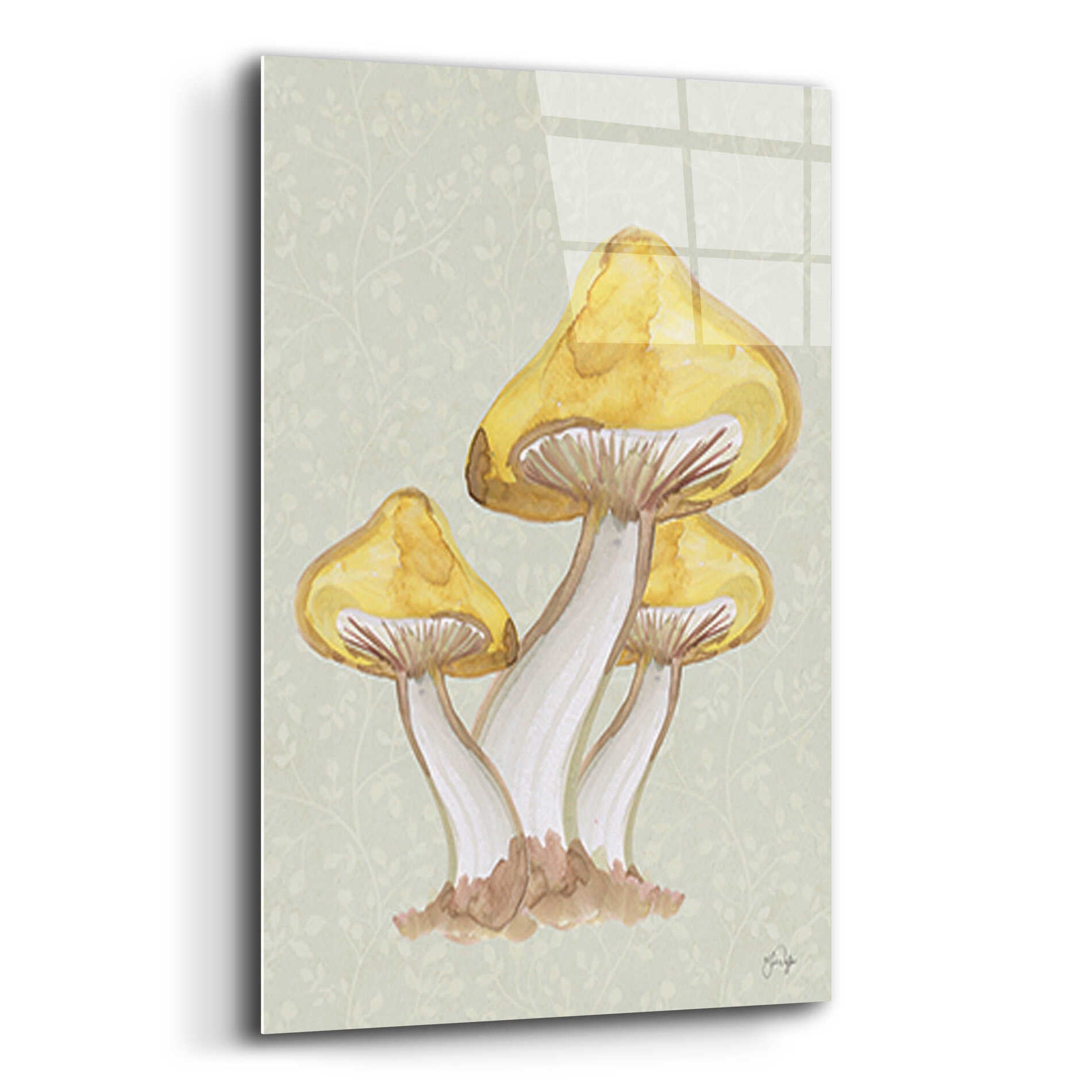 Epic Art 'Calming Mushrooms' by Yass Naffas Designs, Acrylic Glass Wall Art,16x24