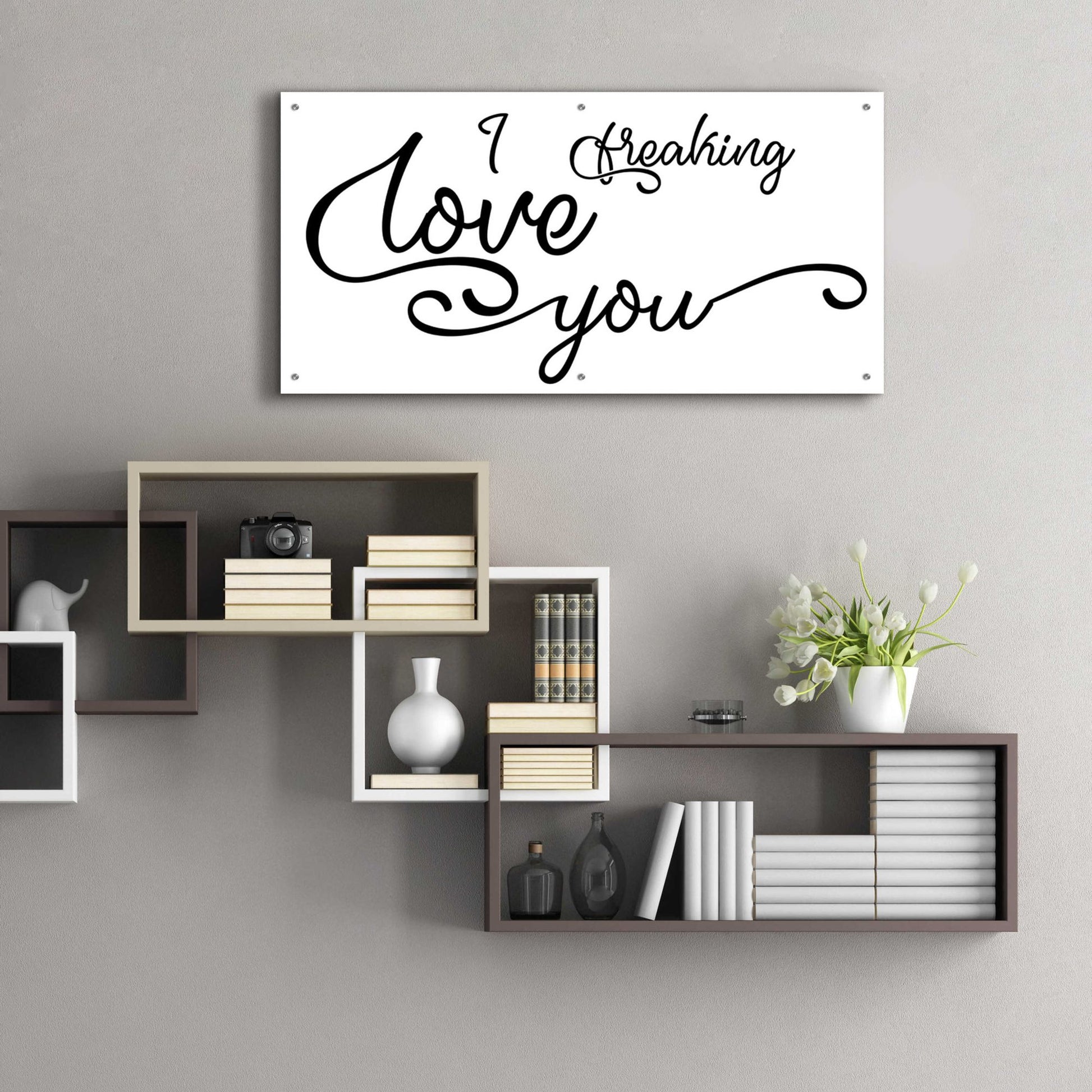 Epic Art 'I Freaking Love You' by Epic Portfolio, Acrylic Glass Wall Art,48x24