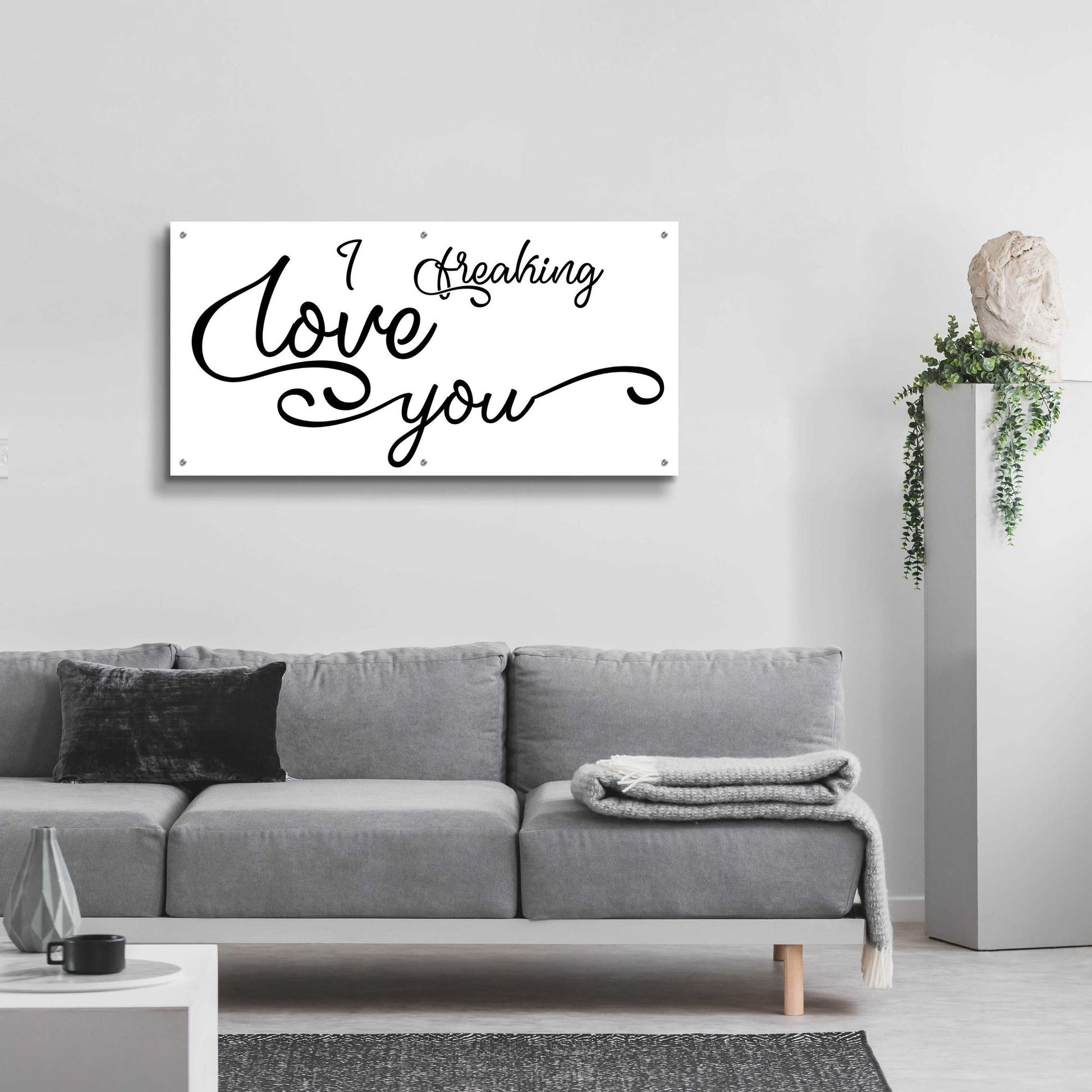 Epic Art 'I Freaking Love You' by Epic Portfolio, Acrylic Glass Wall Art,48x24