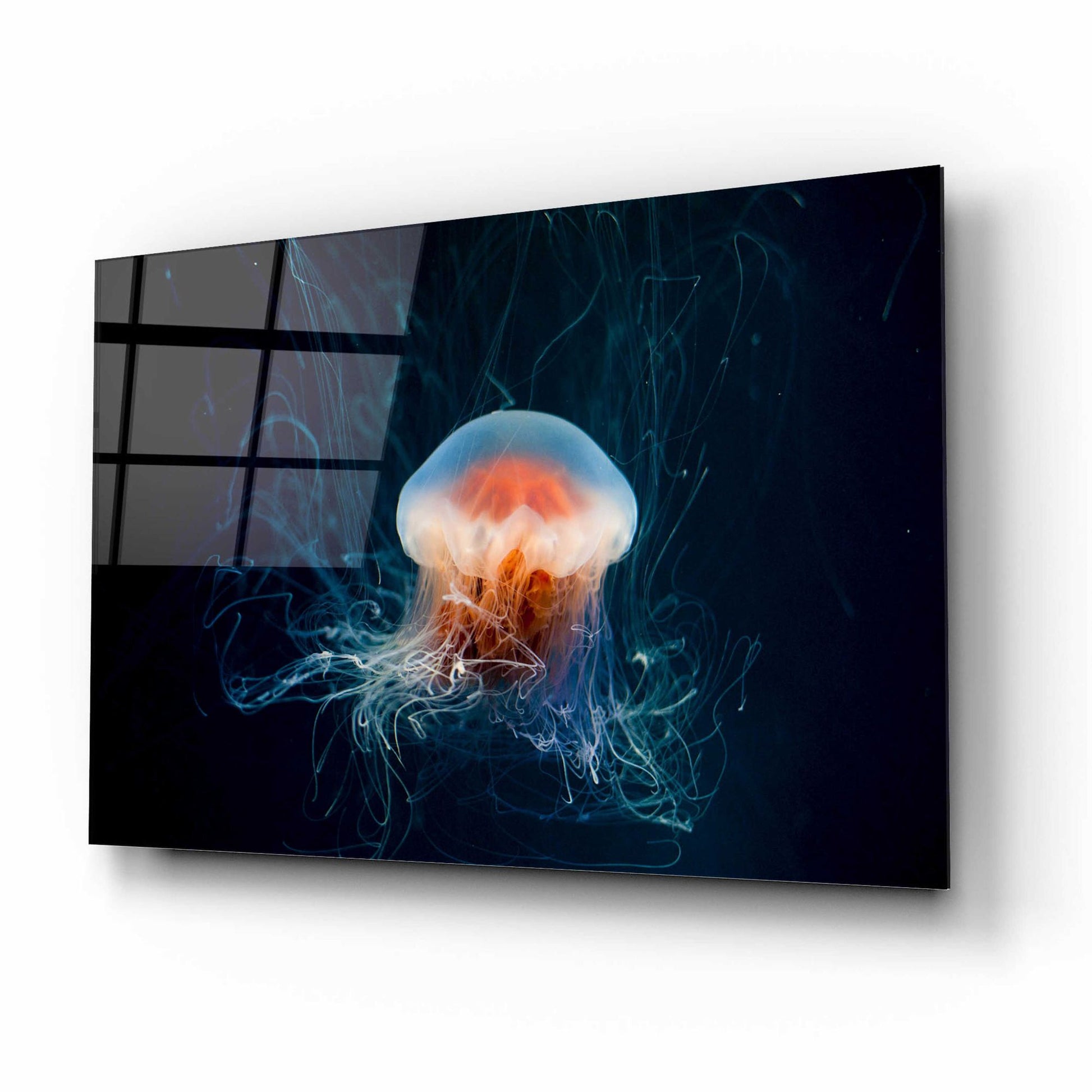 Epic Art 'Blast Off' by Epic Portfolio, Acrylic Glass Wall Art,16x12