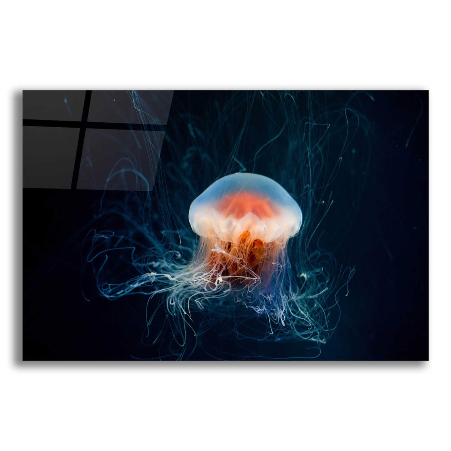 Epic Art 'Blast Off' by Epic Portfolio, Acrylic Glass Wall Art,16x12