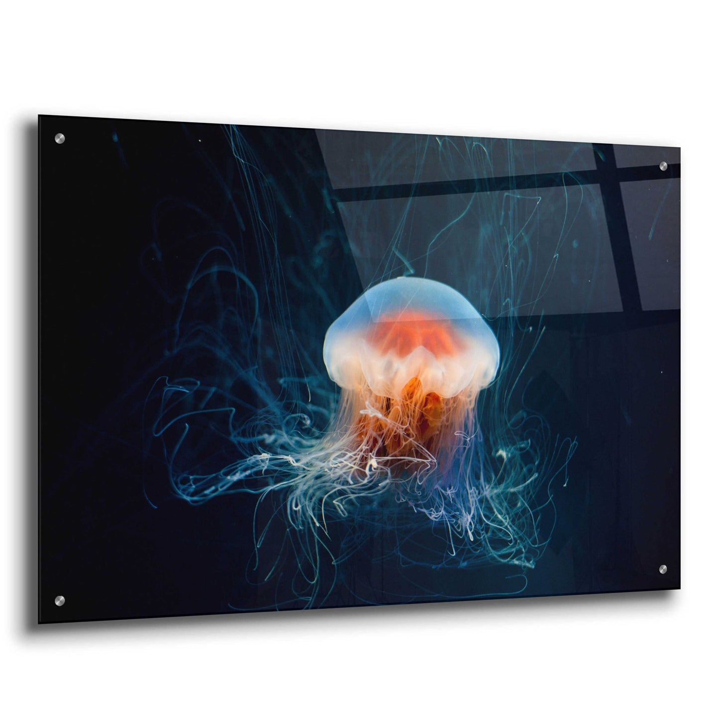 Epic Art 'Blast Off' by Epic Portfolio, Acrylic Glass Wall Art,36x24