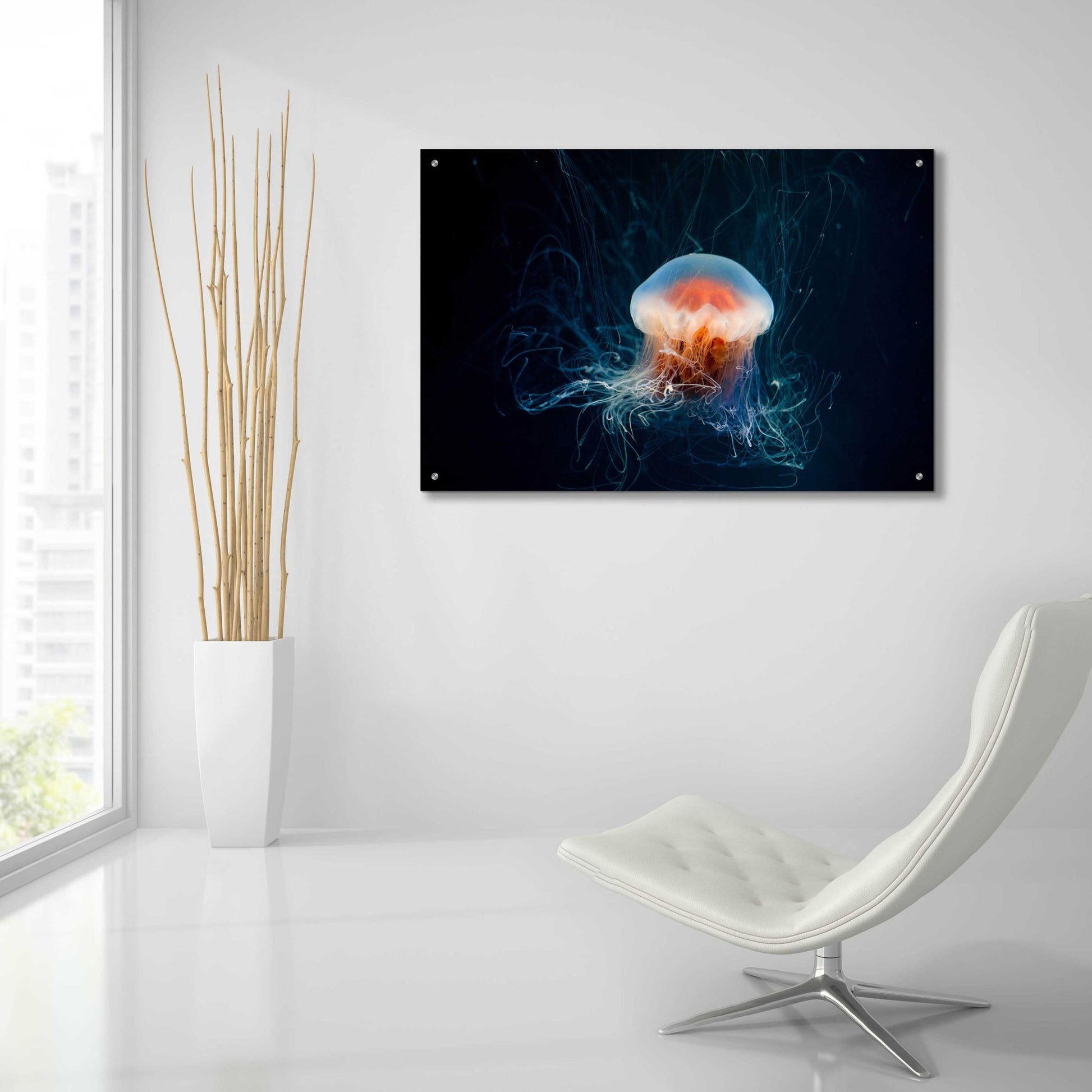 Epic Art 'Blast Off' by Epic Portfolio, Acrylic Glass Wall Art,36x24