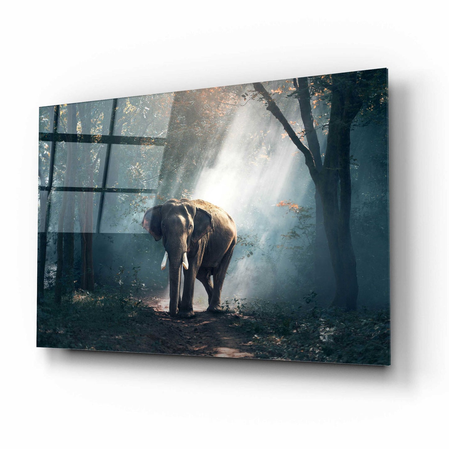 Epic Art 'Elephant' by Epic Portfolio, Acrylic Glass Wall Art,16x12