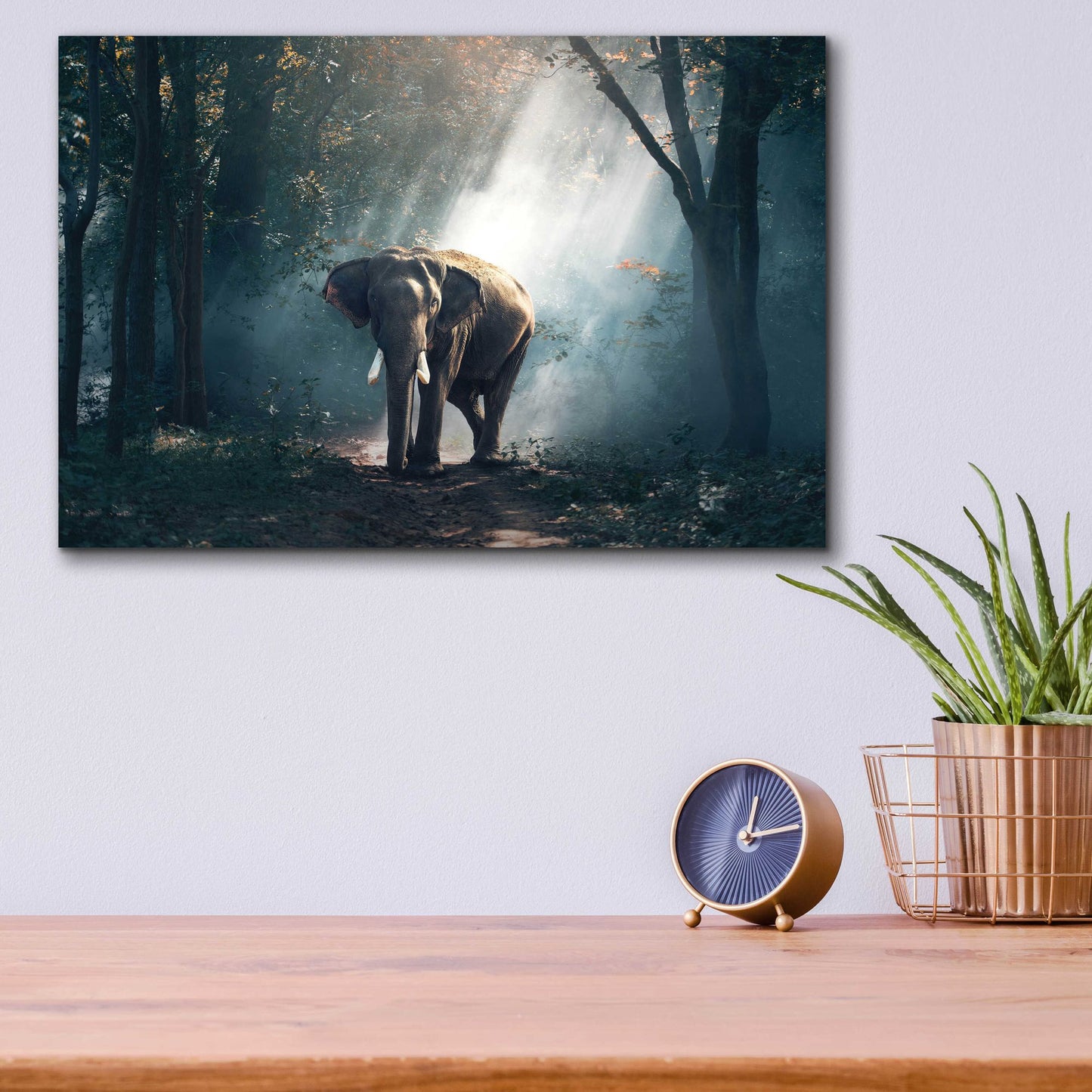 Epic Art 'Elephant' by Epic Portfolio, Acrylic Glass Wall Art,16x12