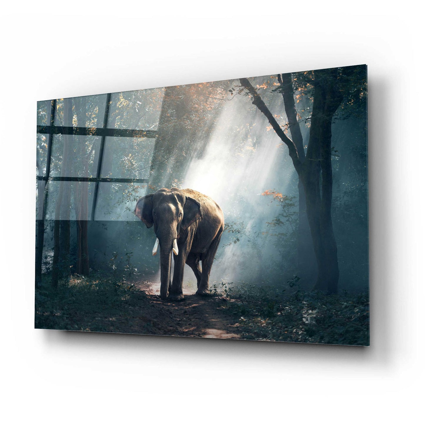 Epic Art 'Elephant' by Epic Portfolio, Acrylic Glass Wall Art,24x16