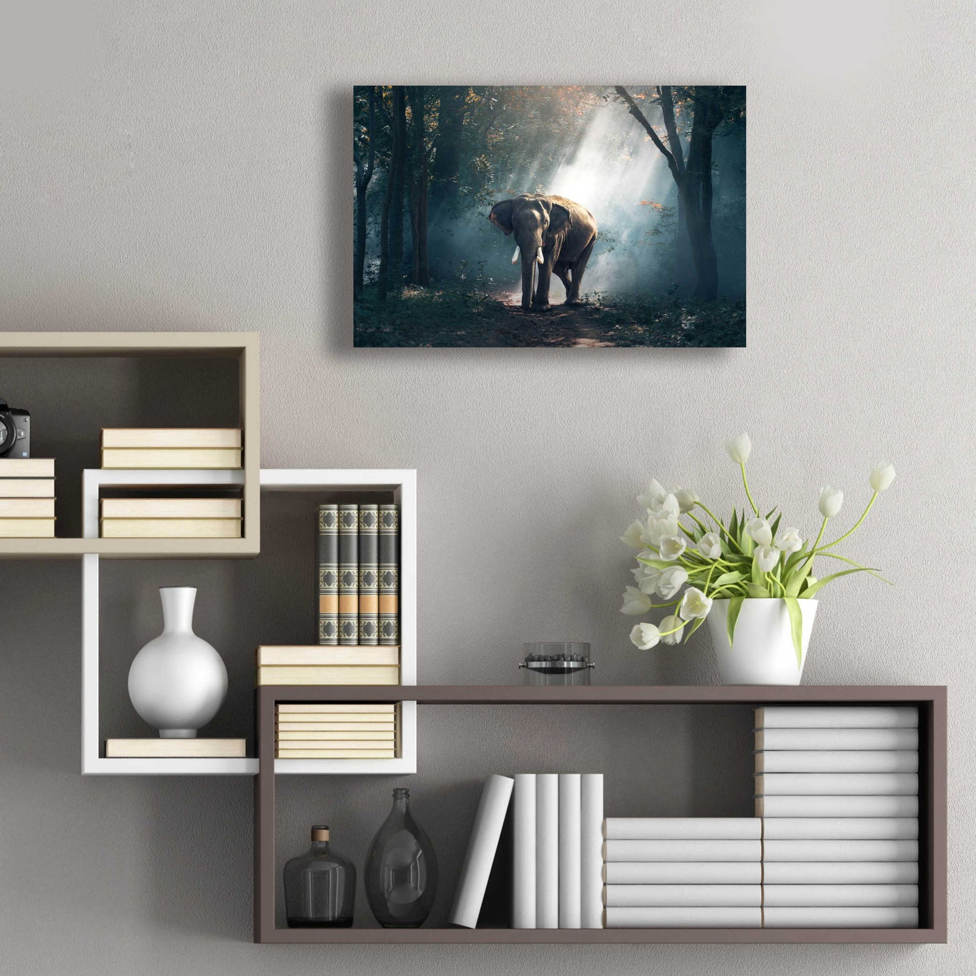 Epic Art 'Elephant' by Epic Portfolio, Acrylic Glass Wall Art,24x16