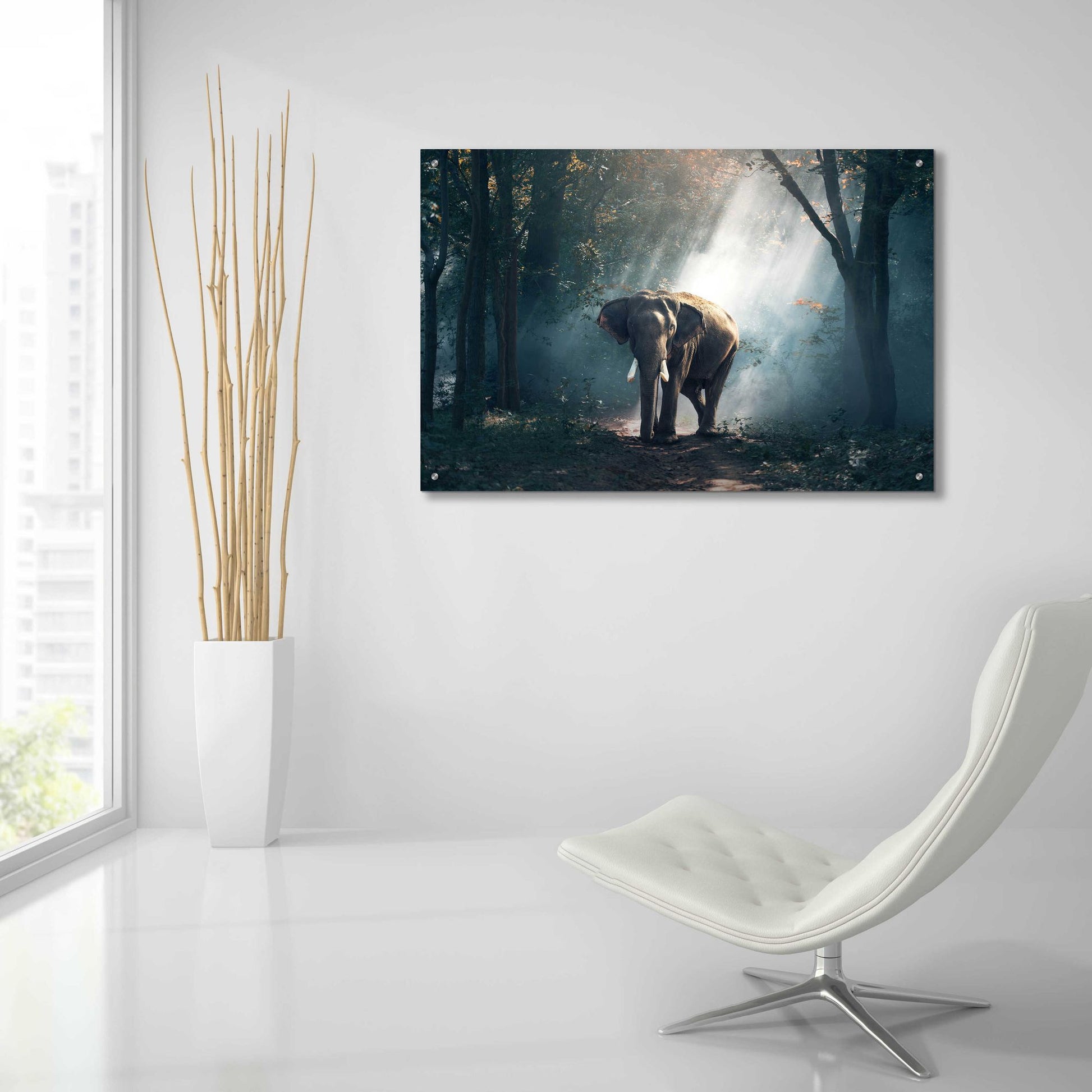 Epic Art 'Elephant' by Epic Portfolio, Acrylic Glass Wall Art,36x24