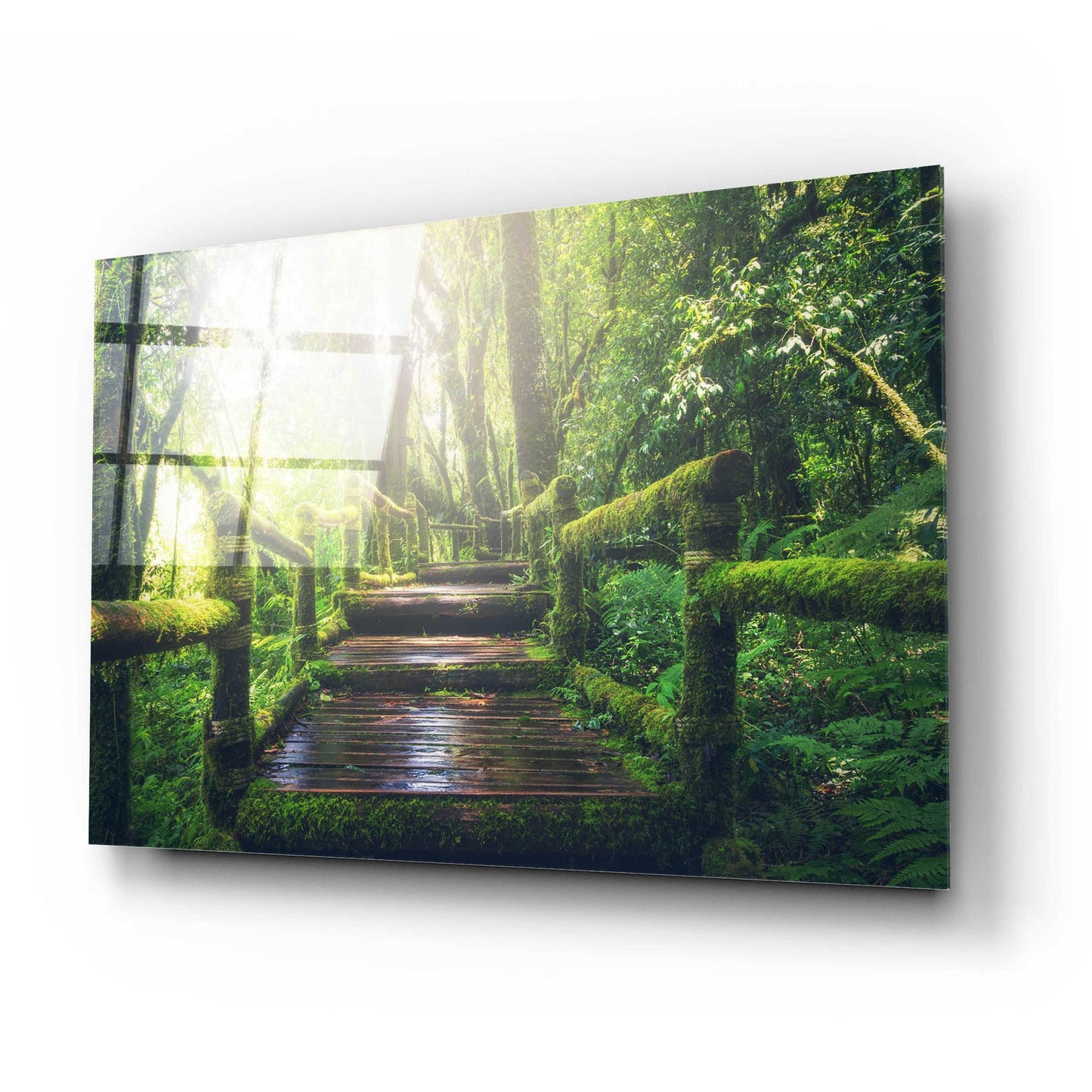 Epic Art 'Jungle' by Epic Portfolio, Acrylic Glass Wall Art,24x16