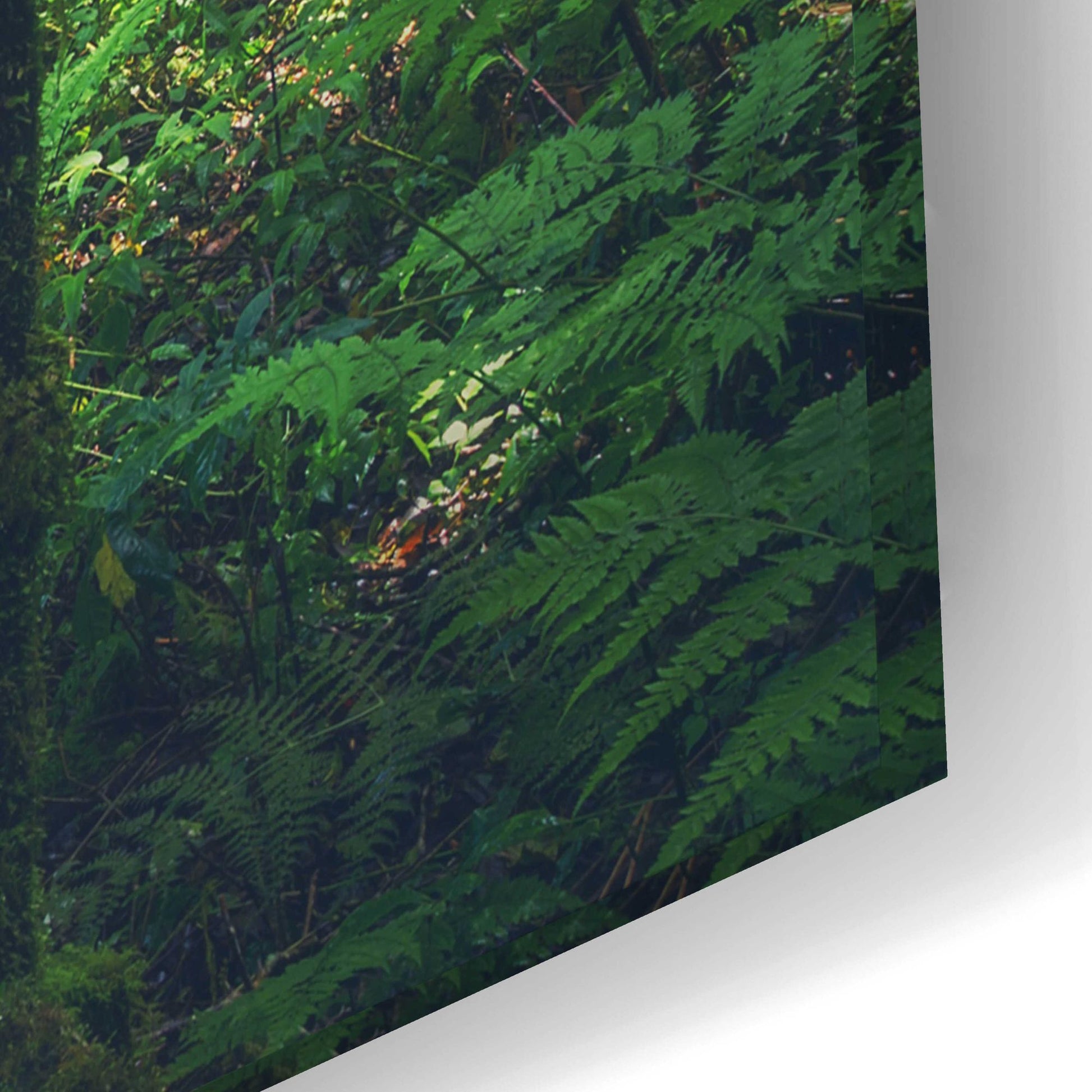 Epic Art 'Jungle' by Epic Portfolio, Acrylic Glass Wall Art,24x16